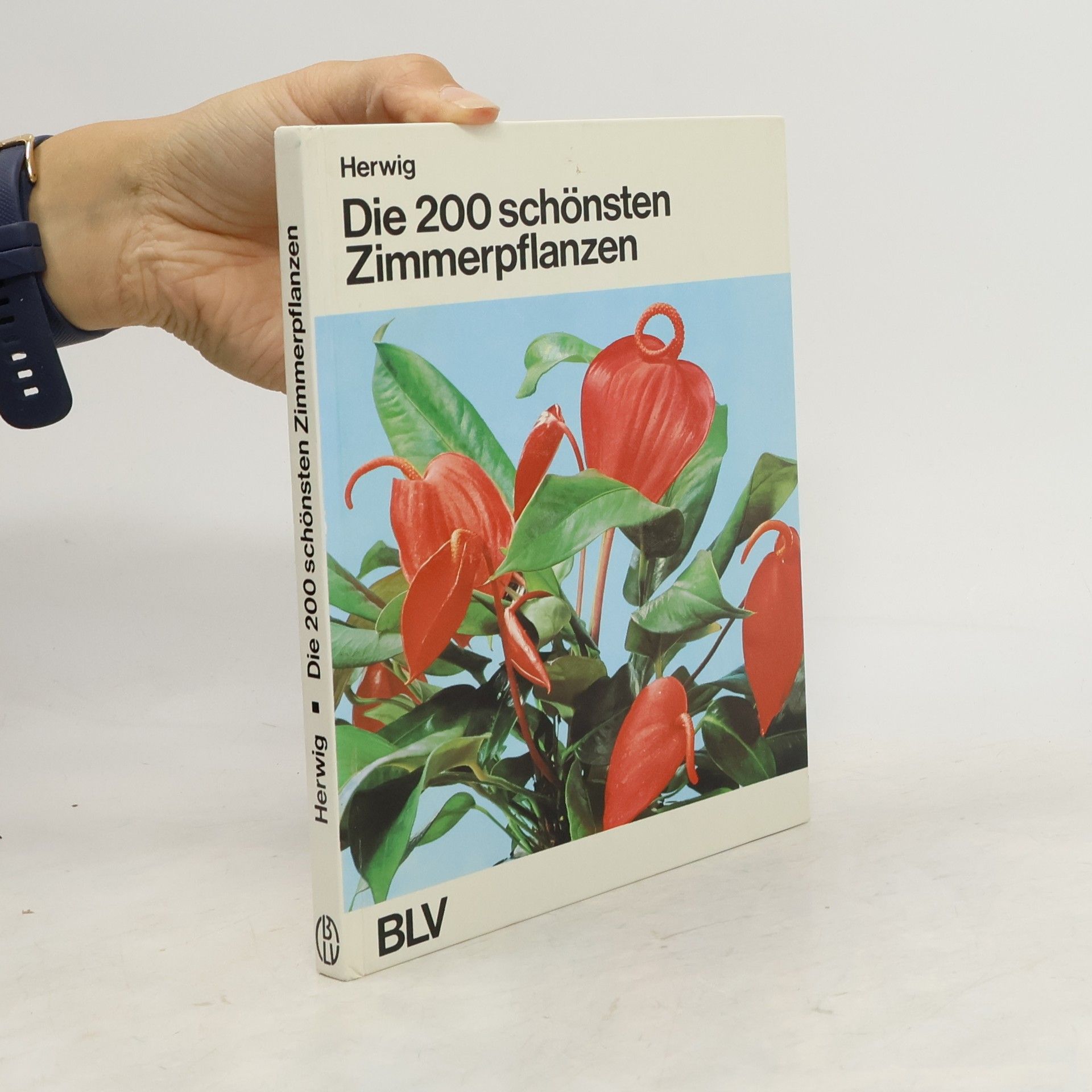 Rob Hewig Die 200 [zweihundert] schönsten Zimmerpflanzen