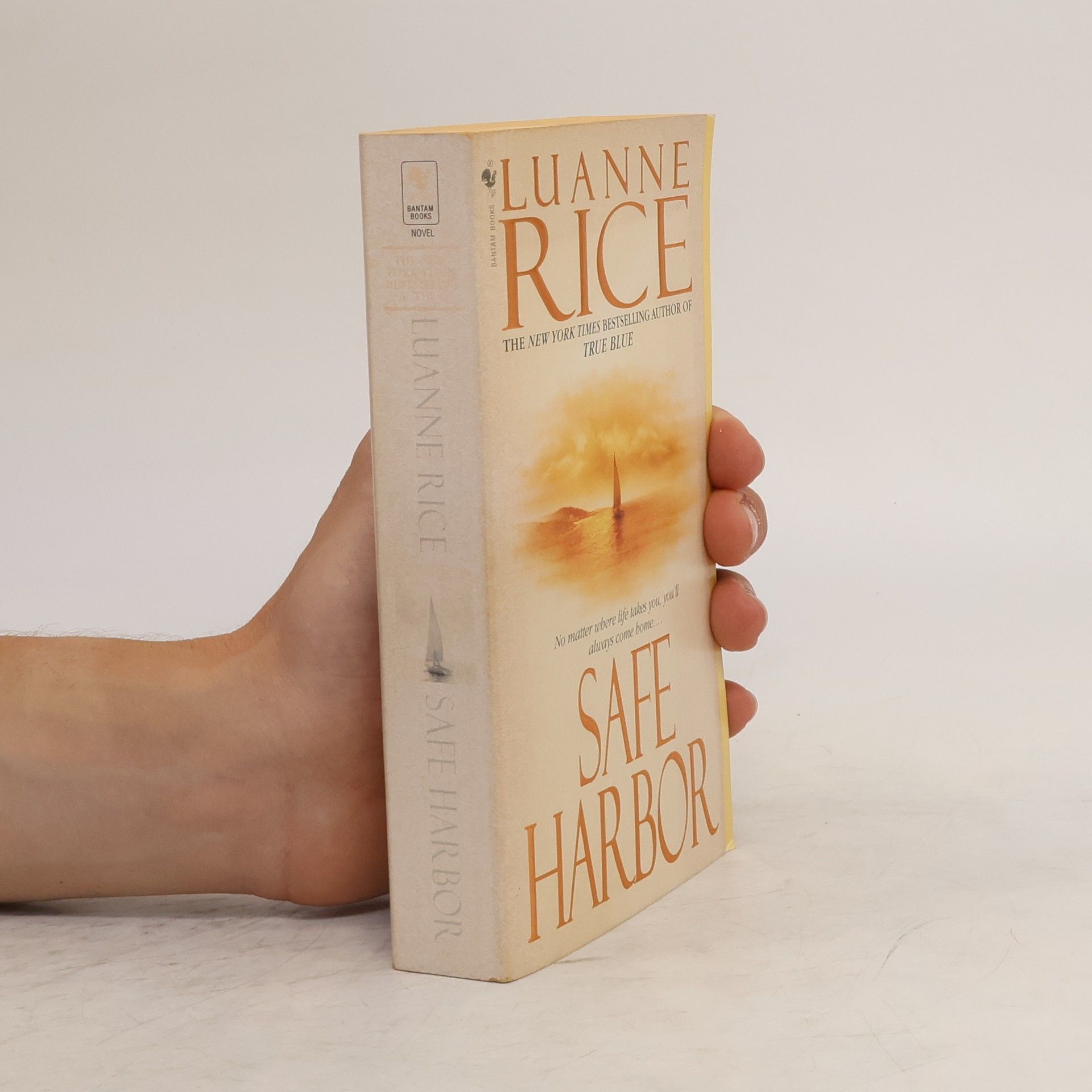 Luanne Rice Safe Harbor