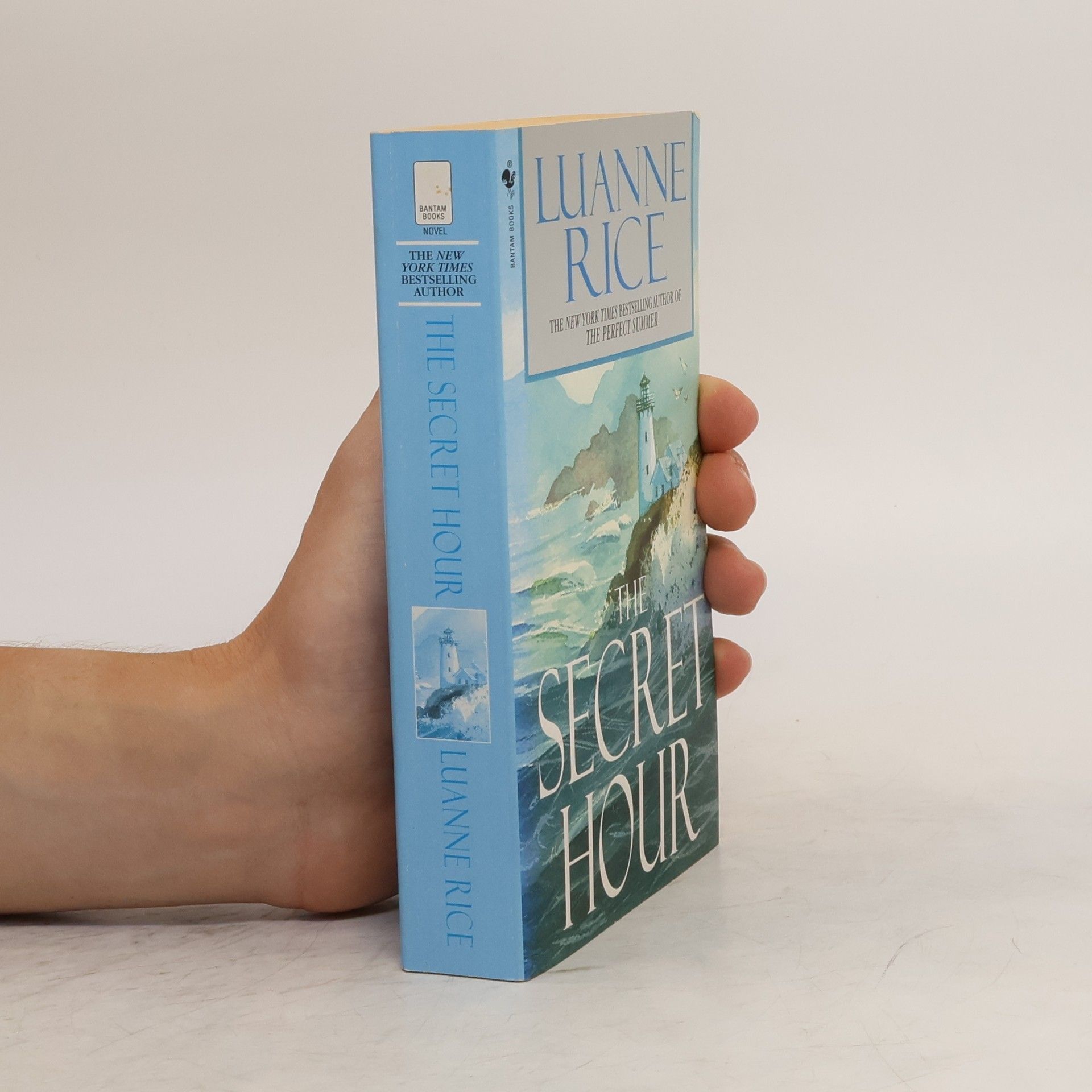 Luanne Rice The Secret Hour