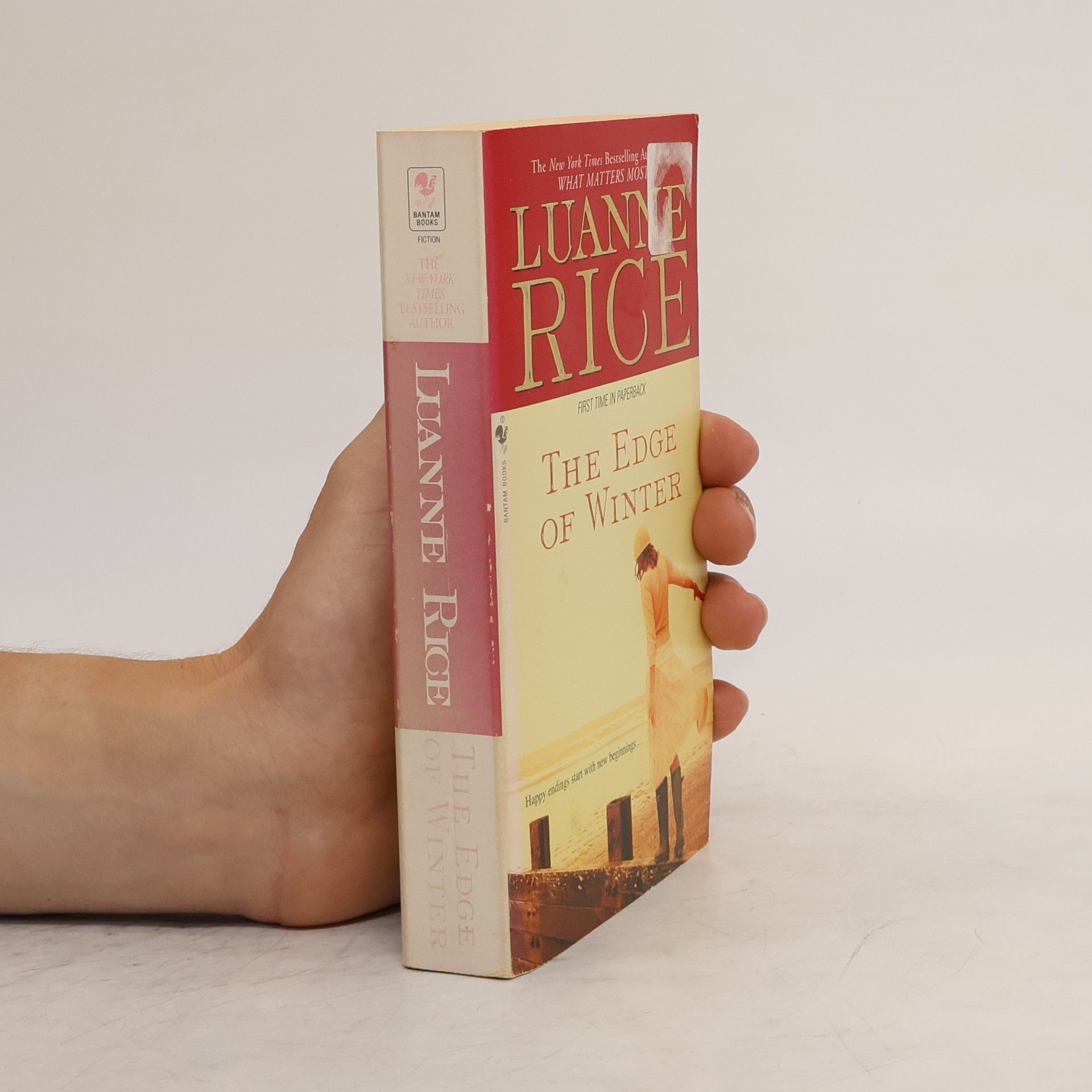 Luanne Rice The Edge of Winter