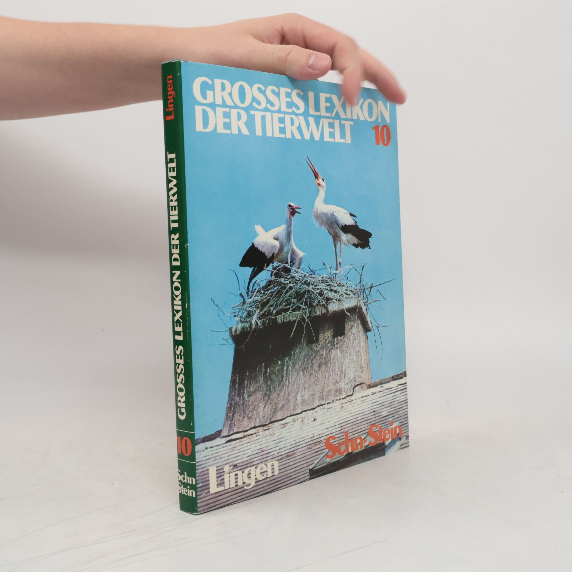 Collectif d'auteurs Grosses Lexikon der Tierwelt 10