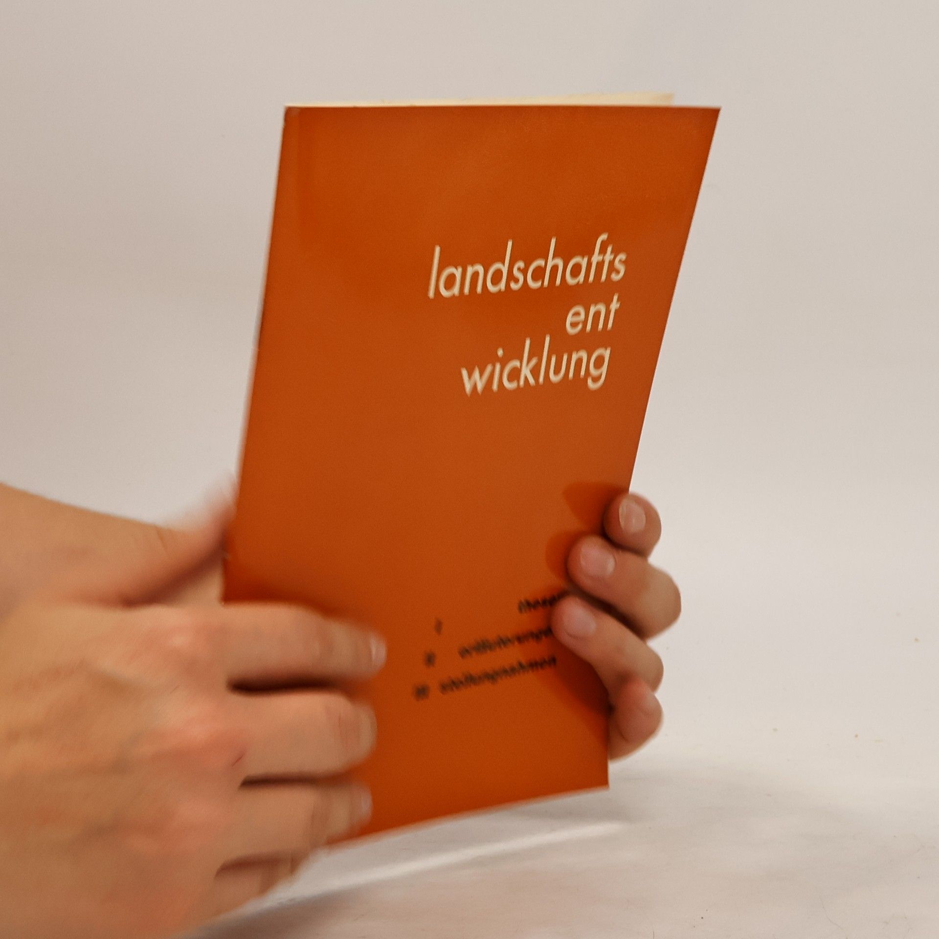 Kolektiv autorů Landschaftsentwicklung