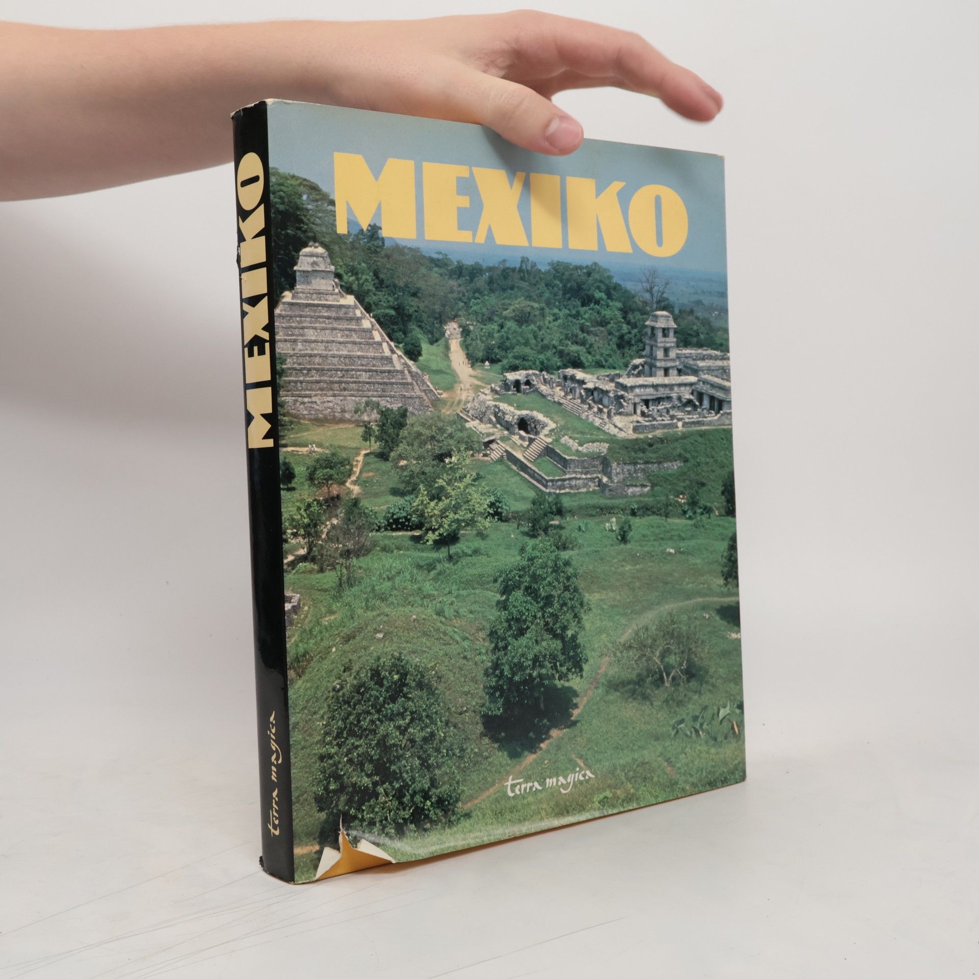 Autorenkollektiv Mexiko