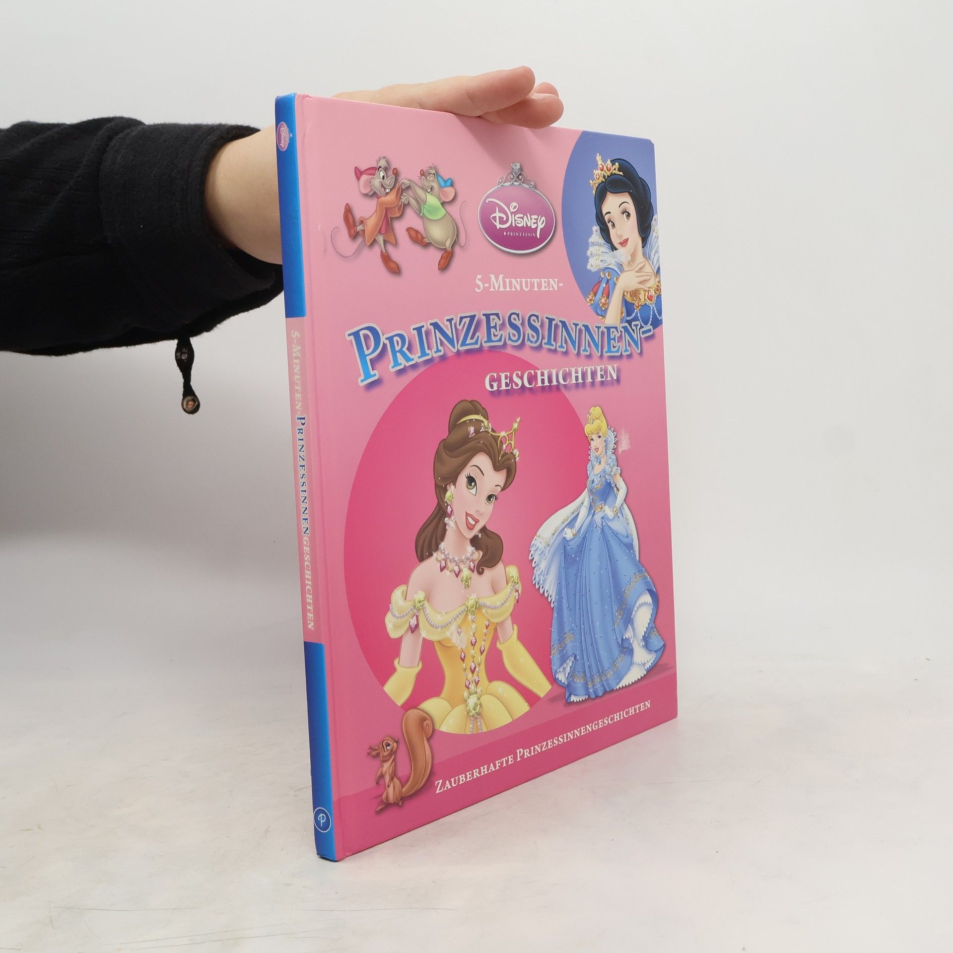 Collectif d'auteurs Prinzessinnen Geschichten 1