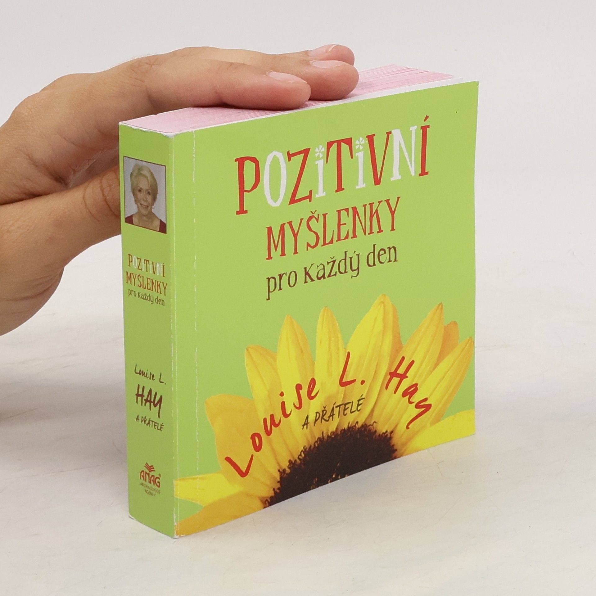 Louise Lynn Hay Pozitivní myšlenky pro každý den