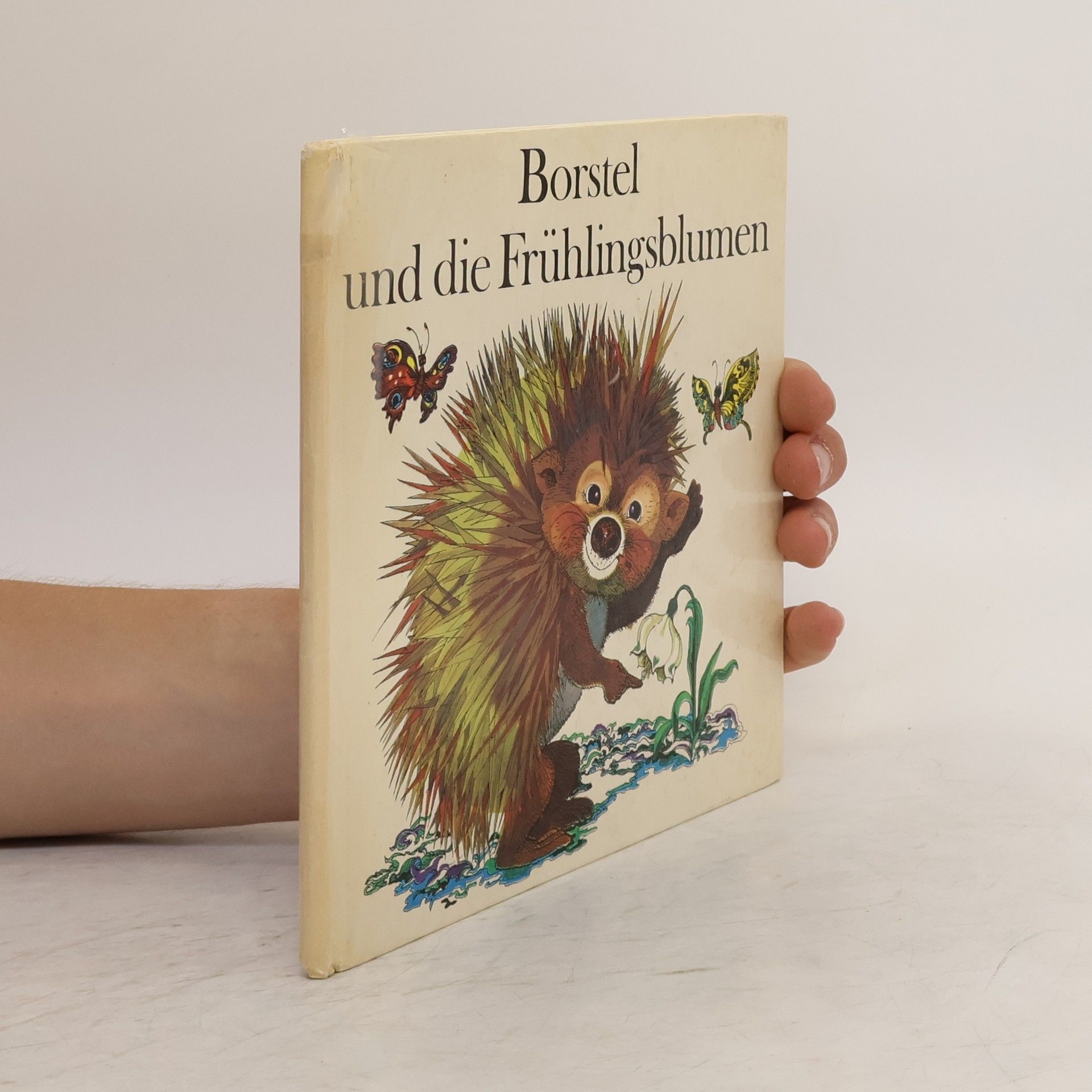 Autorenkollektiv Borstel und die Frühlingsblumen