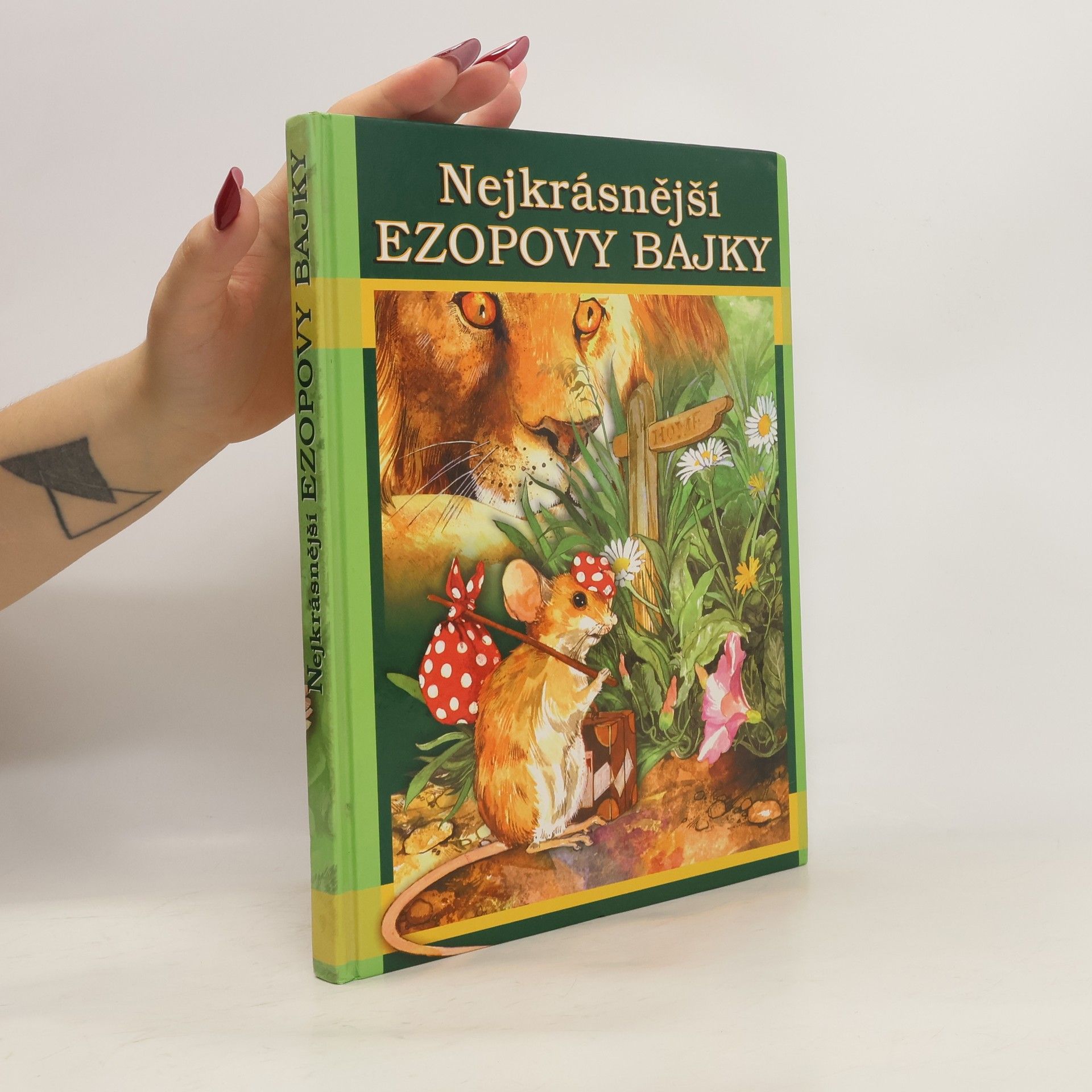 Autorenkollektiv Nejkrásnější Ezopovy bajky