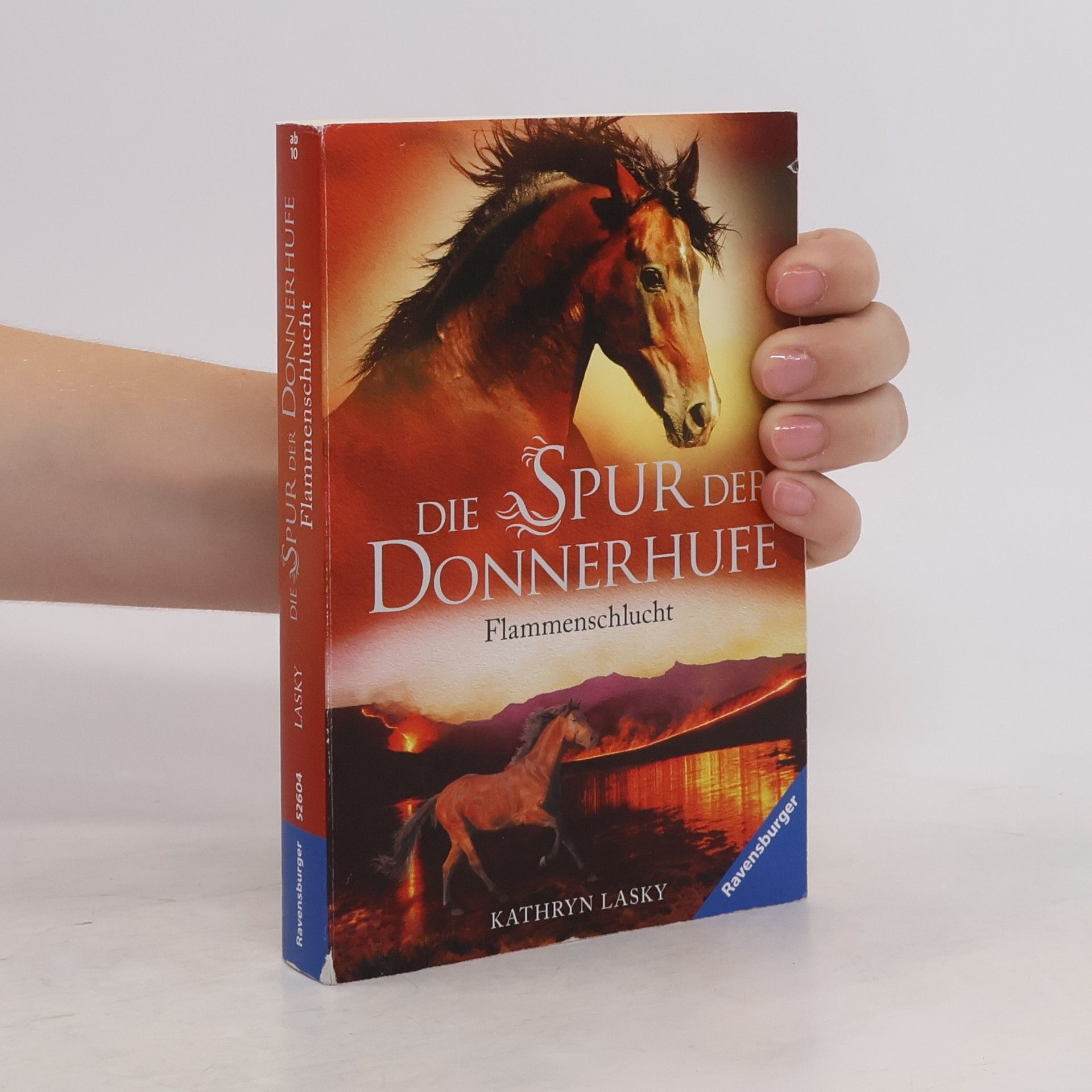 Kathryn Lasky Knight Flammenschlucht