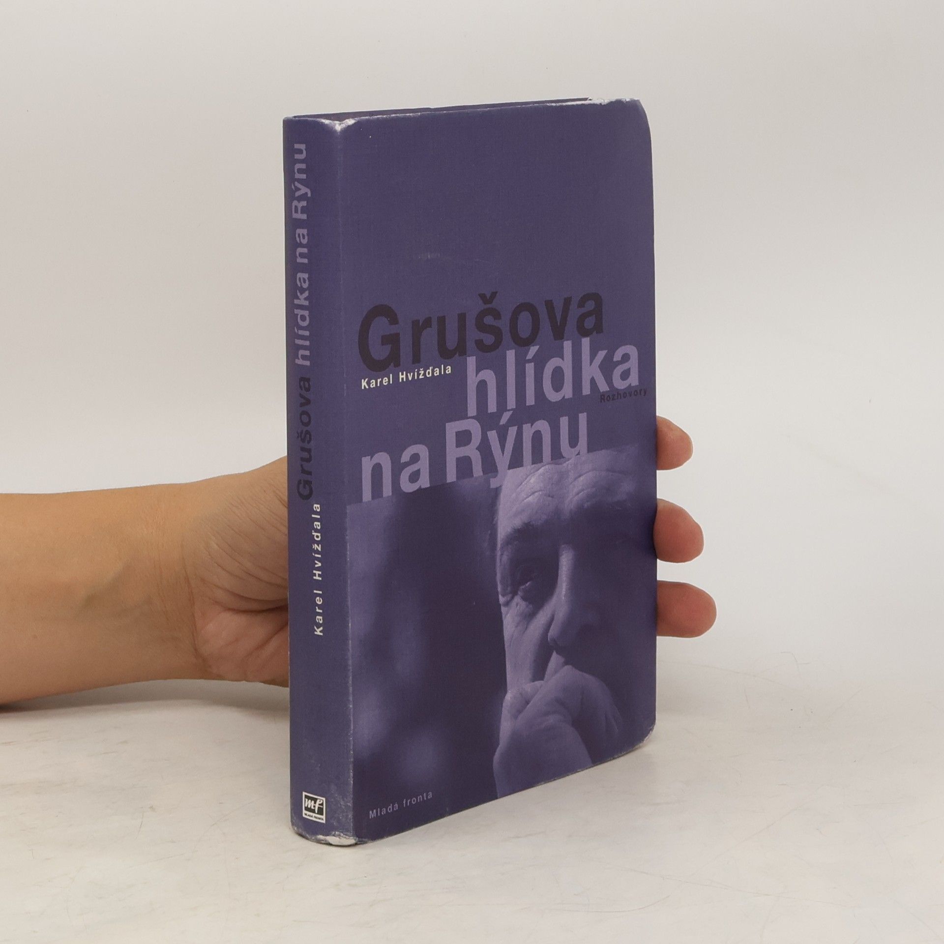 Jiří Gruša Grušova hlídka na Rýnu: Rozhovory z let 1983-2011