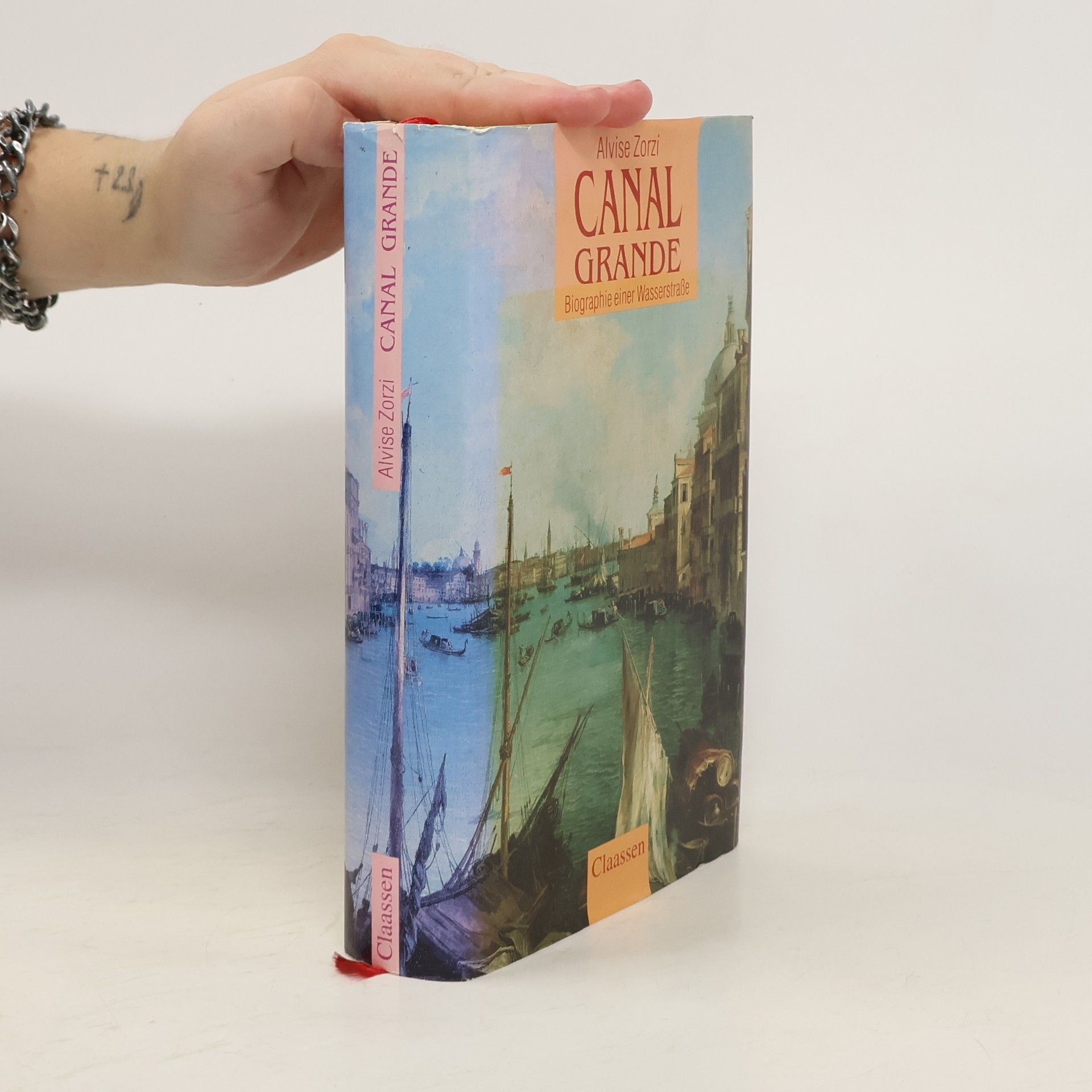 Alvise Zorzi Canal Grande