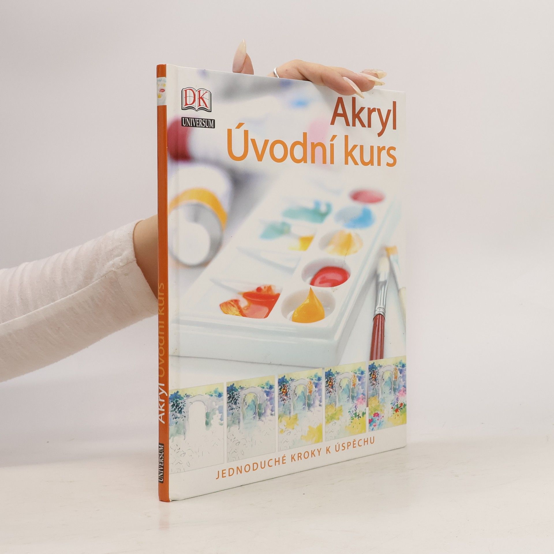 Phyllis McDowell Akryl : úvodní kurs