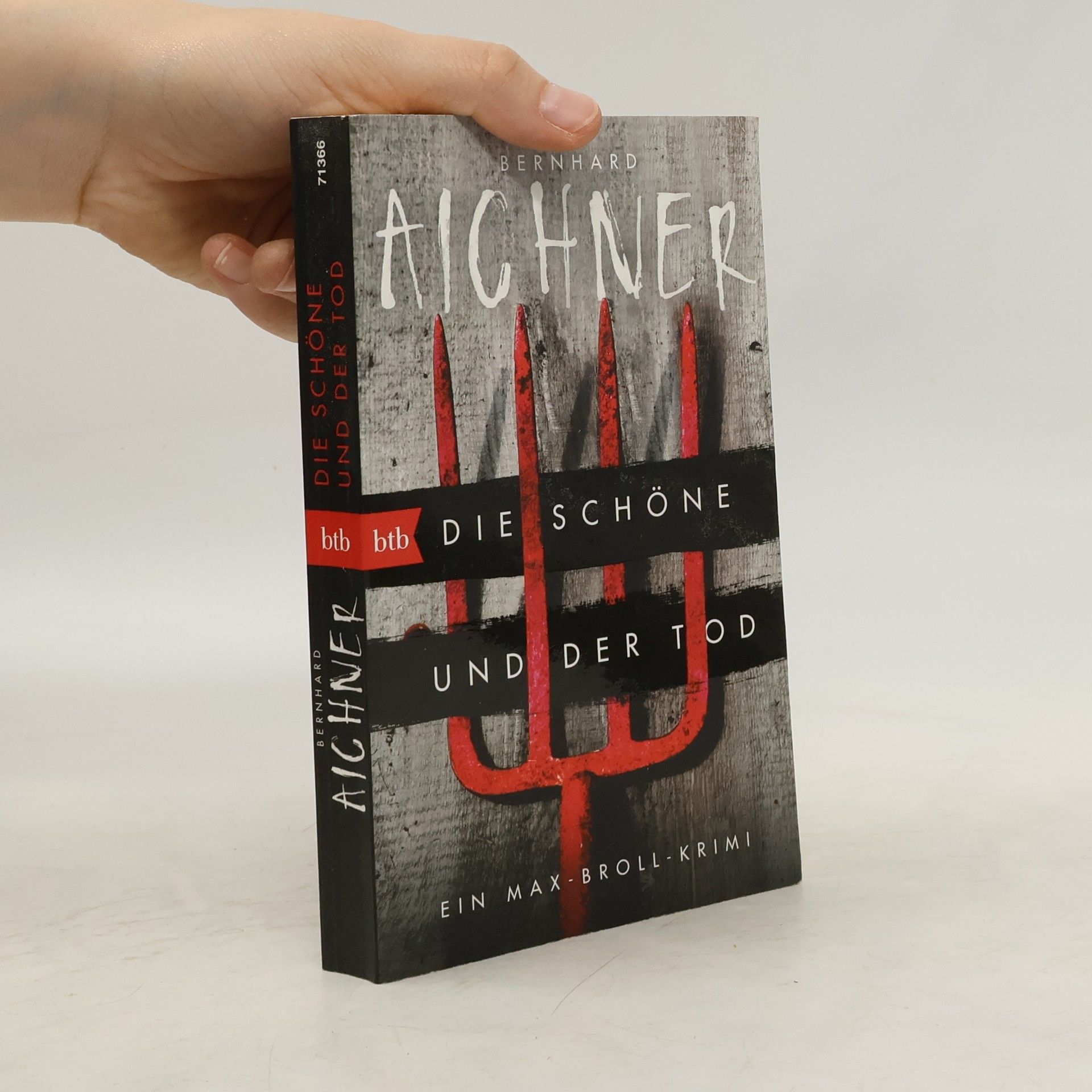 Bernhard Aichner Die Schöne und der Tod