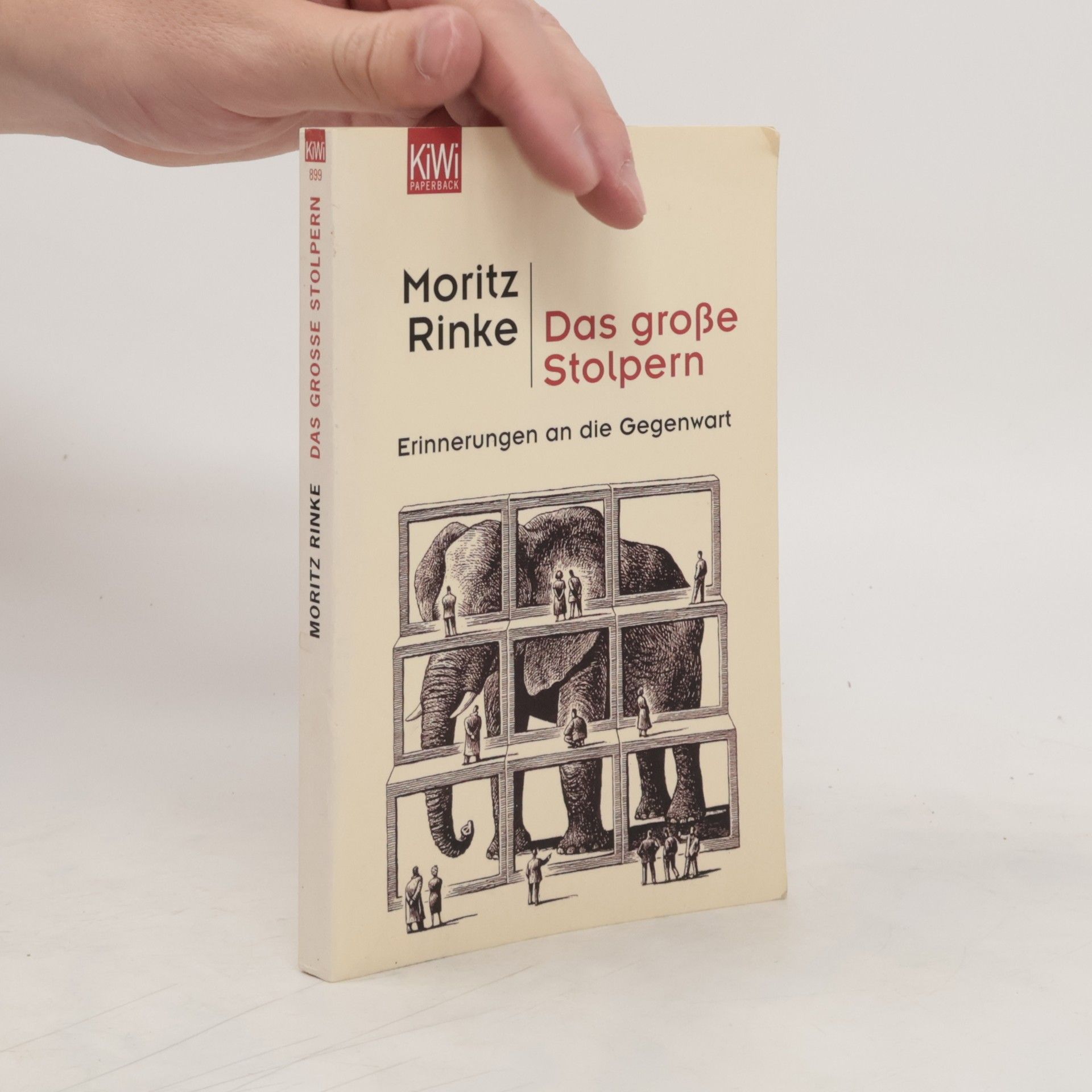 Moritz Rinke Das große Stolpern. Erinnerungen an die Gegenwart