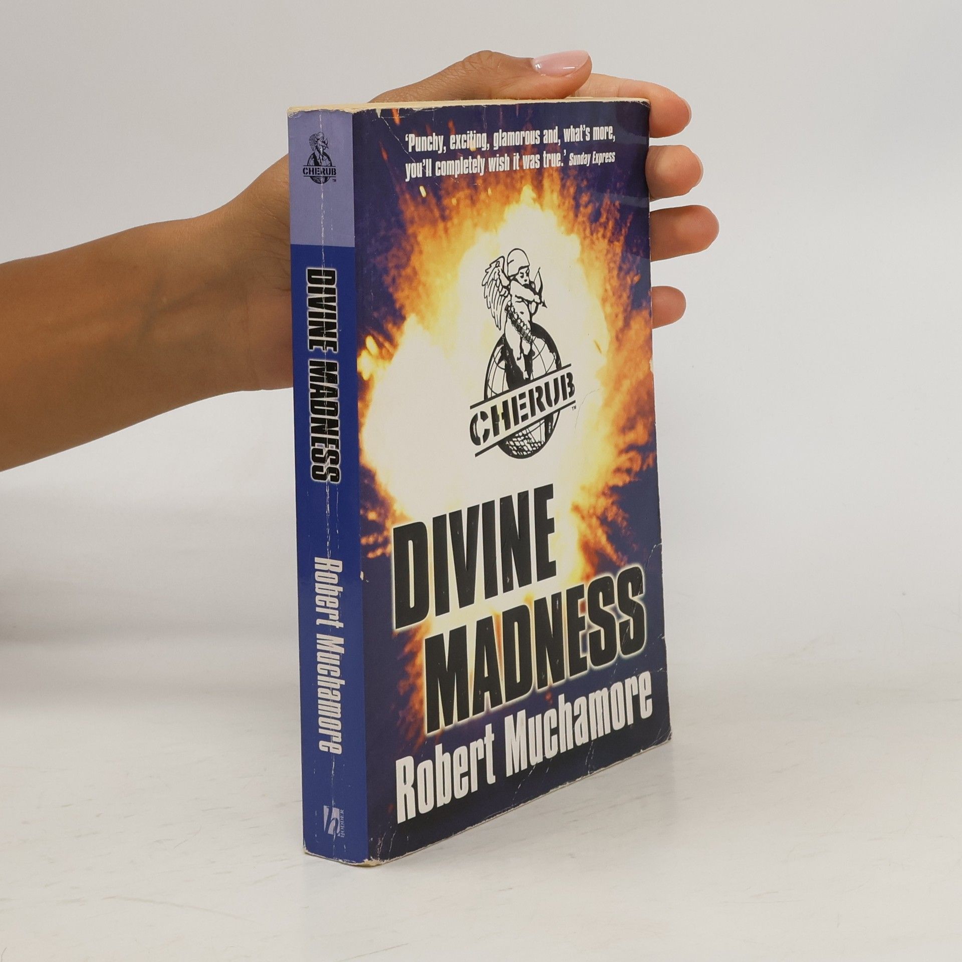Robert Muchamore Divine madness
