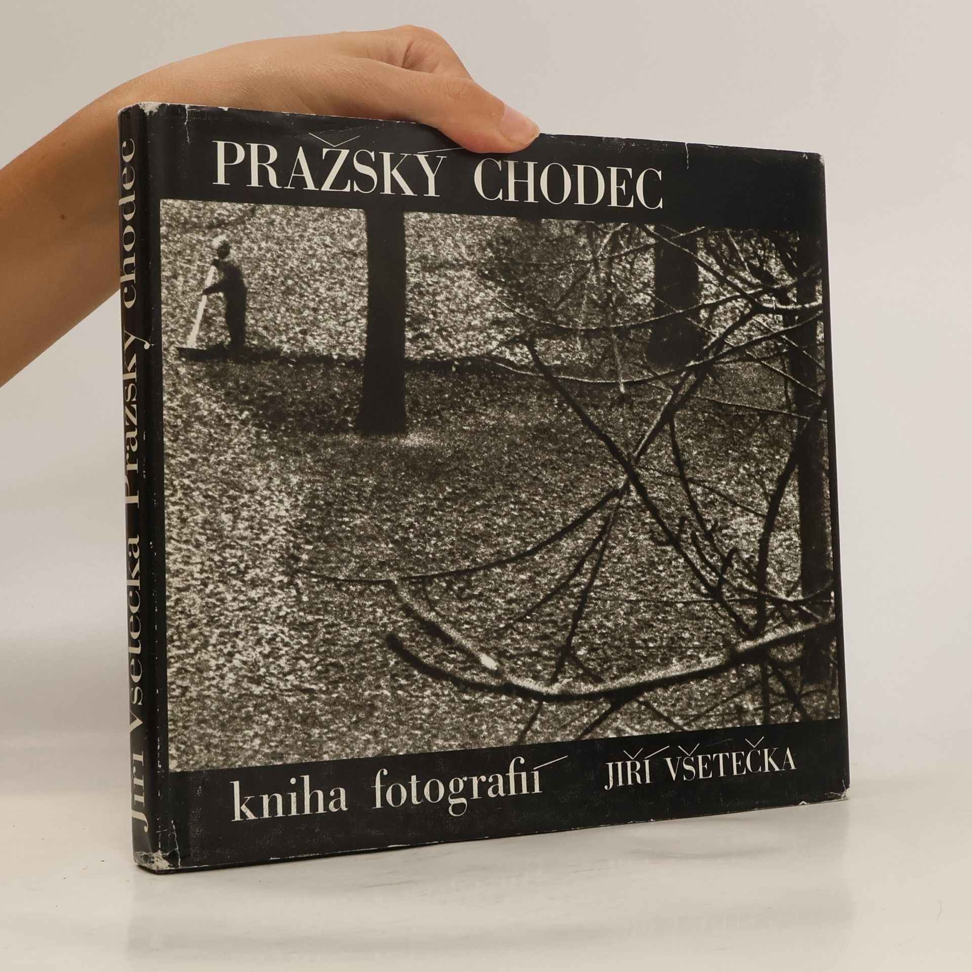 Jiří Všetečka Pražský chodec