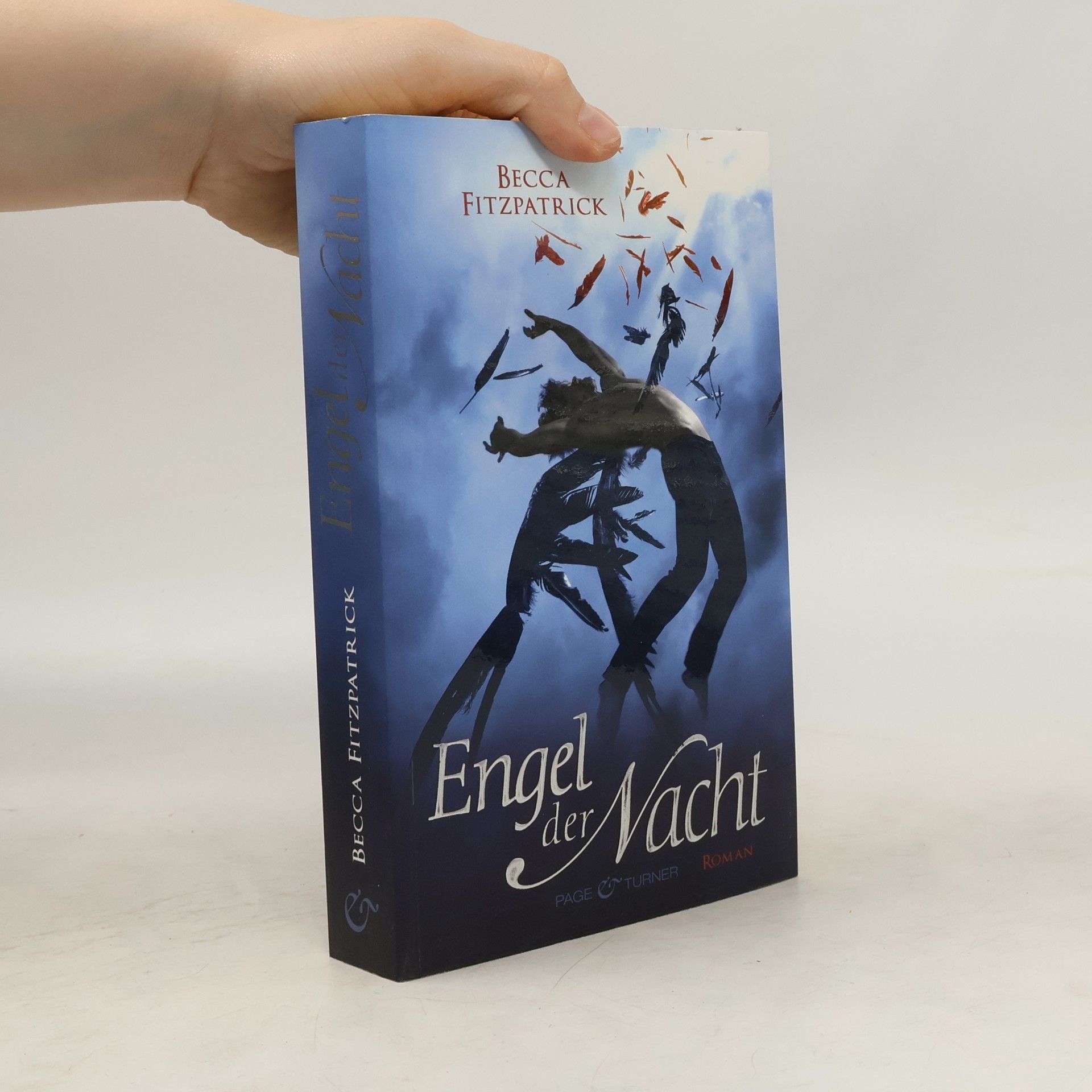 Becca Fitzpatrick Engel der Nacht