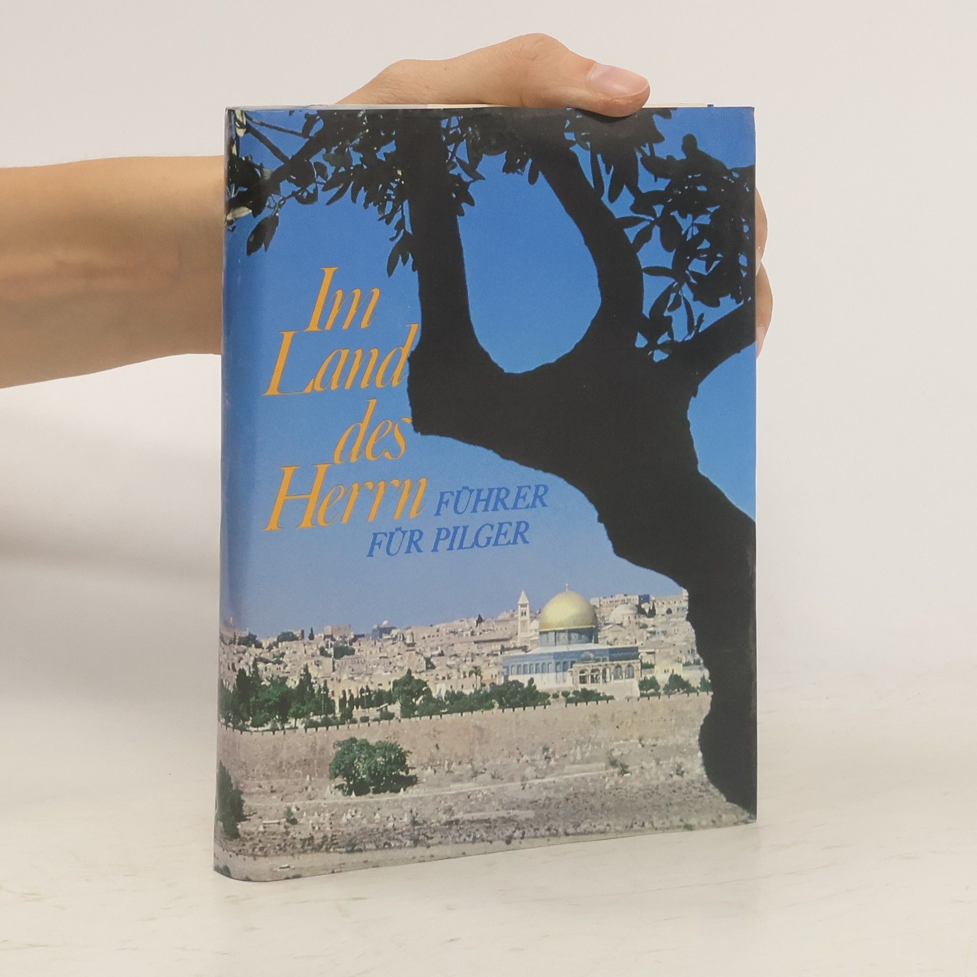 Hyacinth M. Wilmes Im Land des Herrn