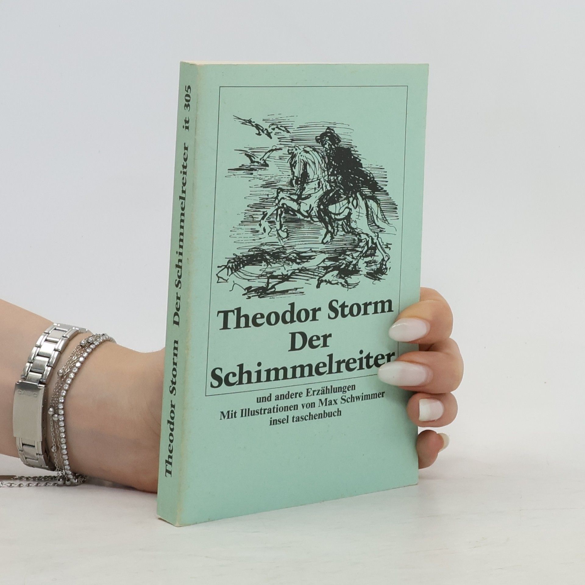 Theodor Storm Insel Taschenbuch - 305: Der Schimmelreiter und andere Erzählungen