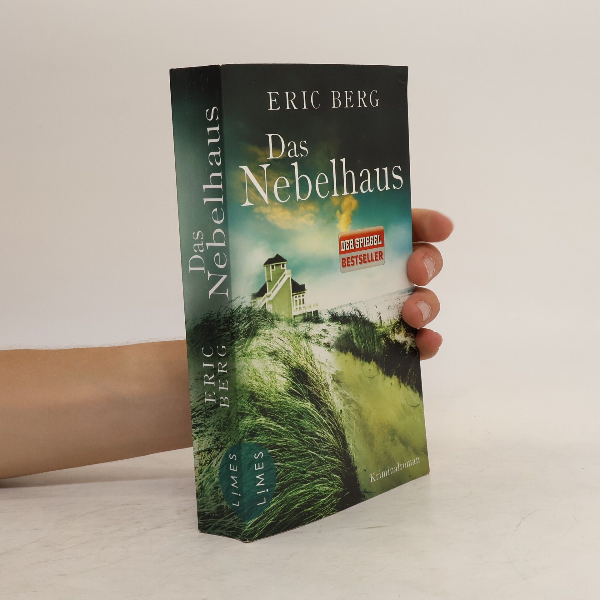 Eric Berg Das Nebelhaus