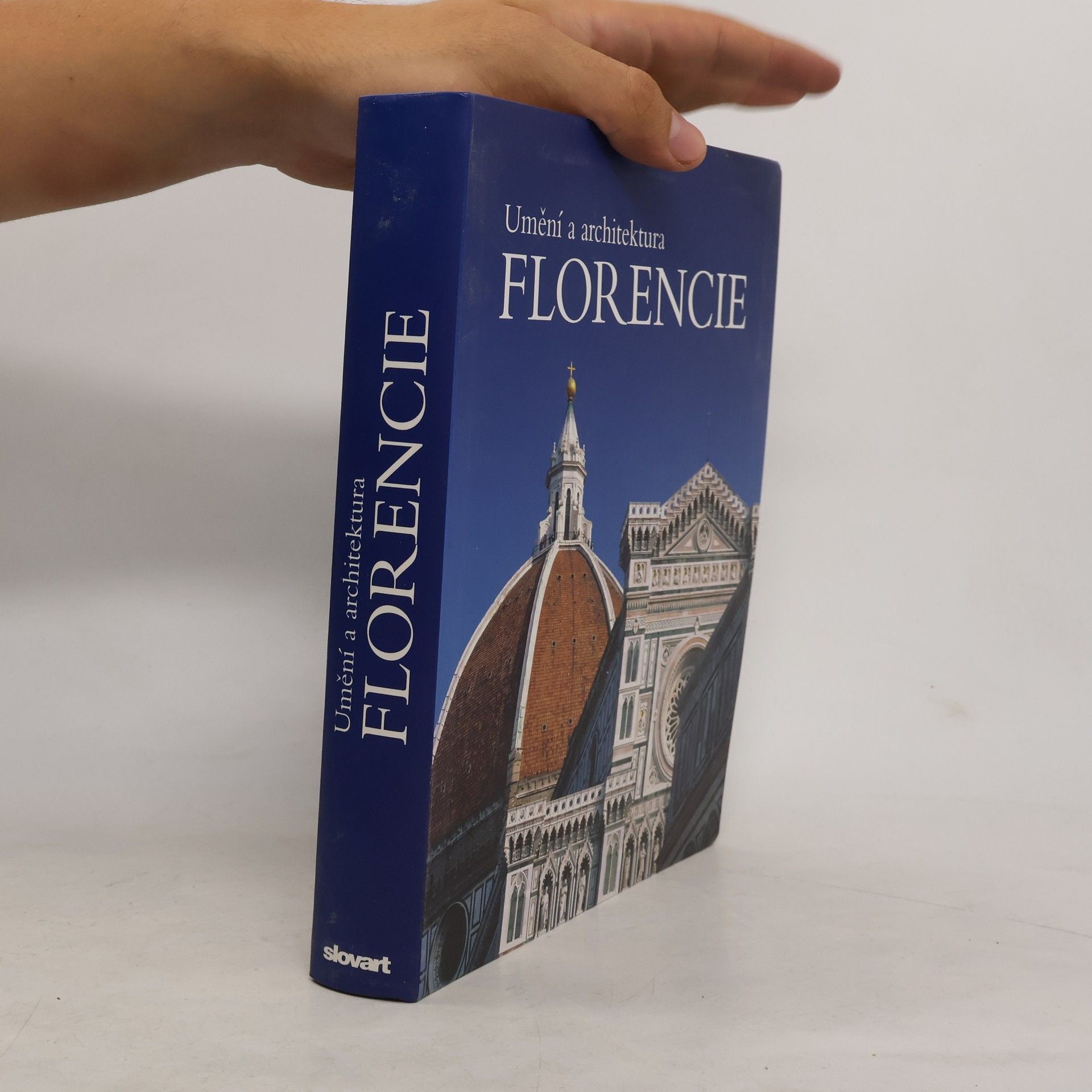 Silvestra Bietoletti Florencie : umění a architektura
