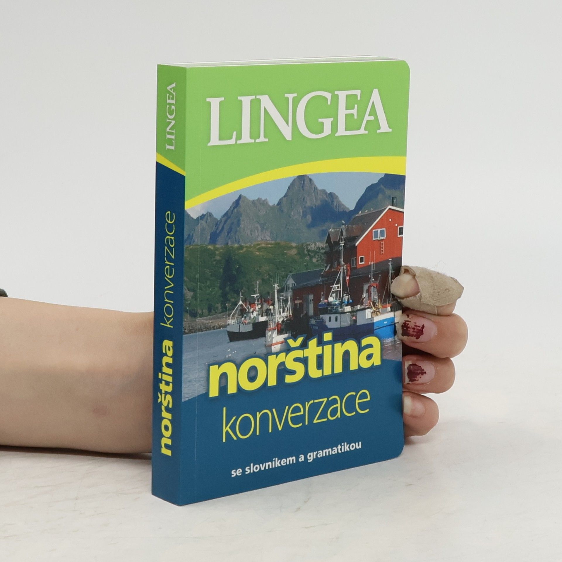 Kolektiv autorů Norština. Konverzace