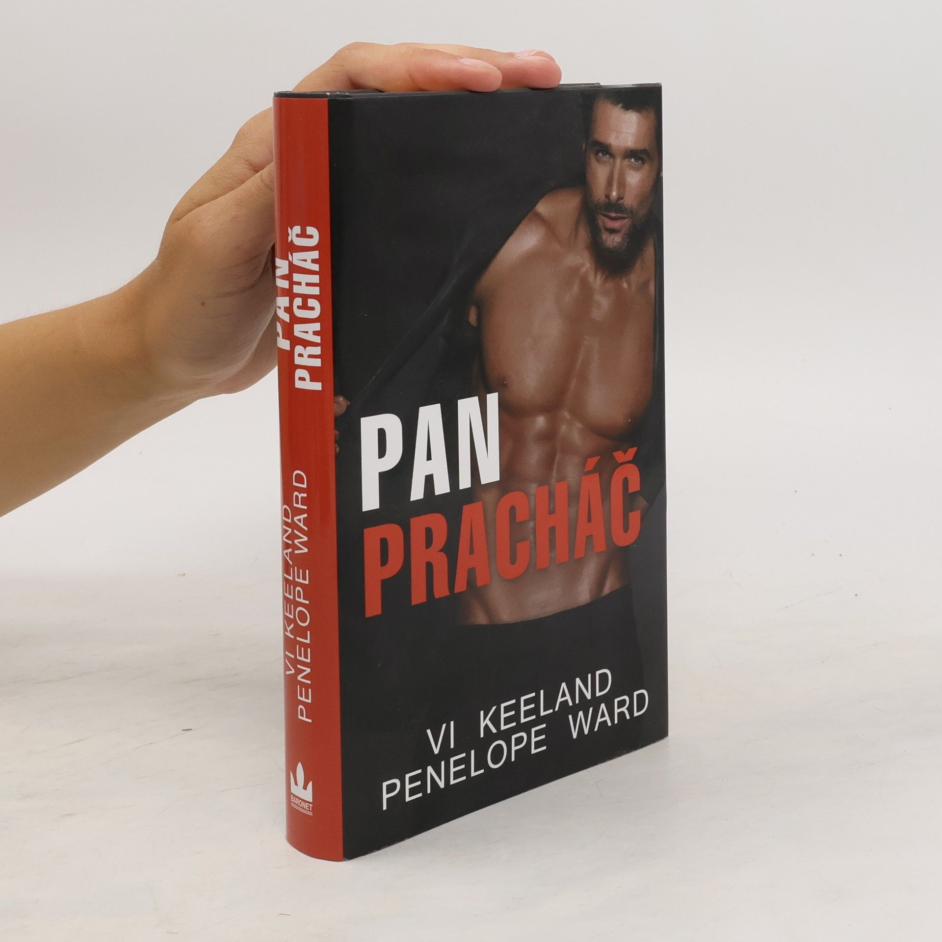Vi Keeland Pan Pracháč