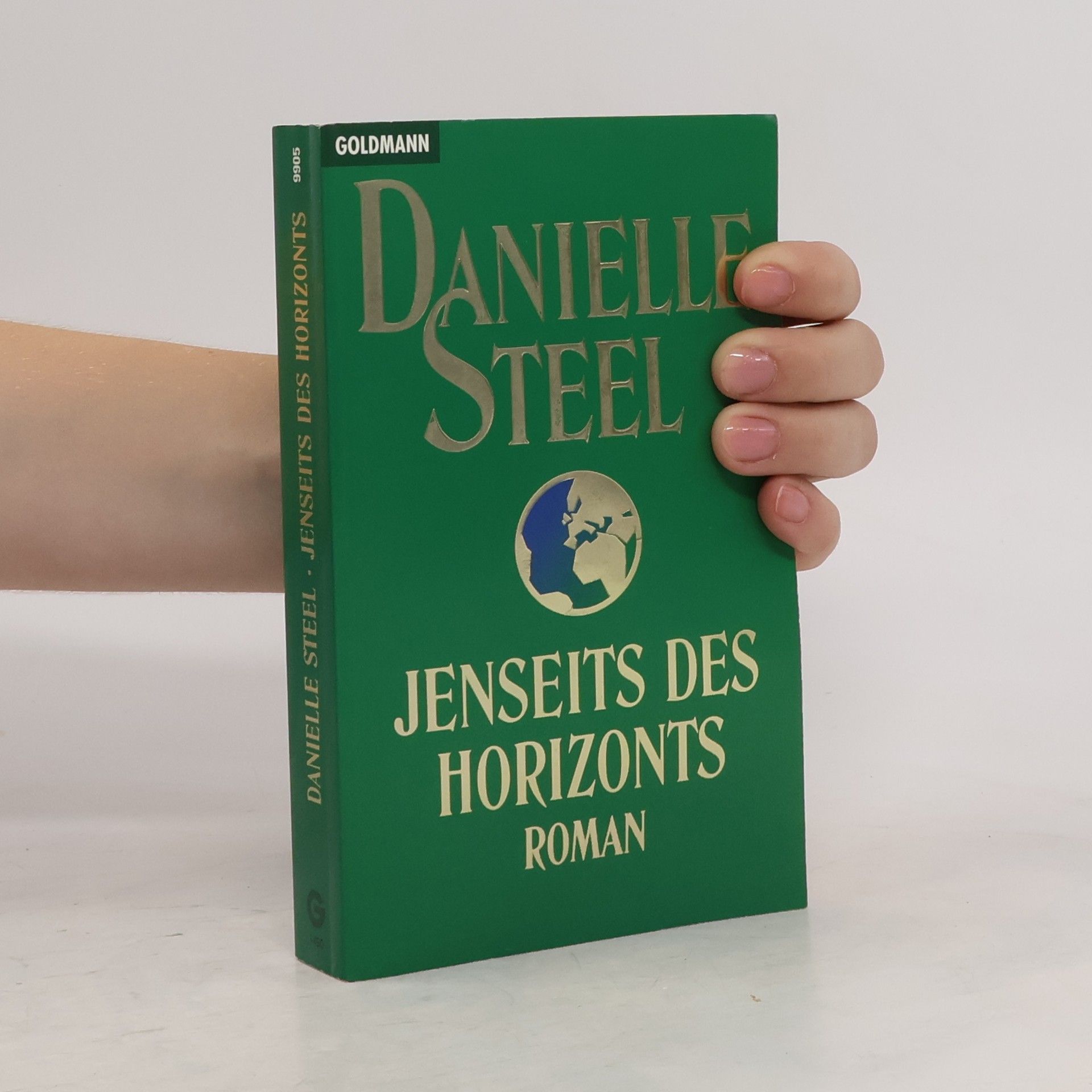 Danielle Steel Jenseits des Horizonts