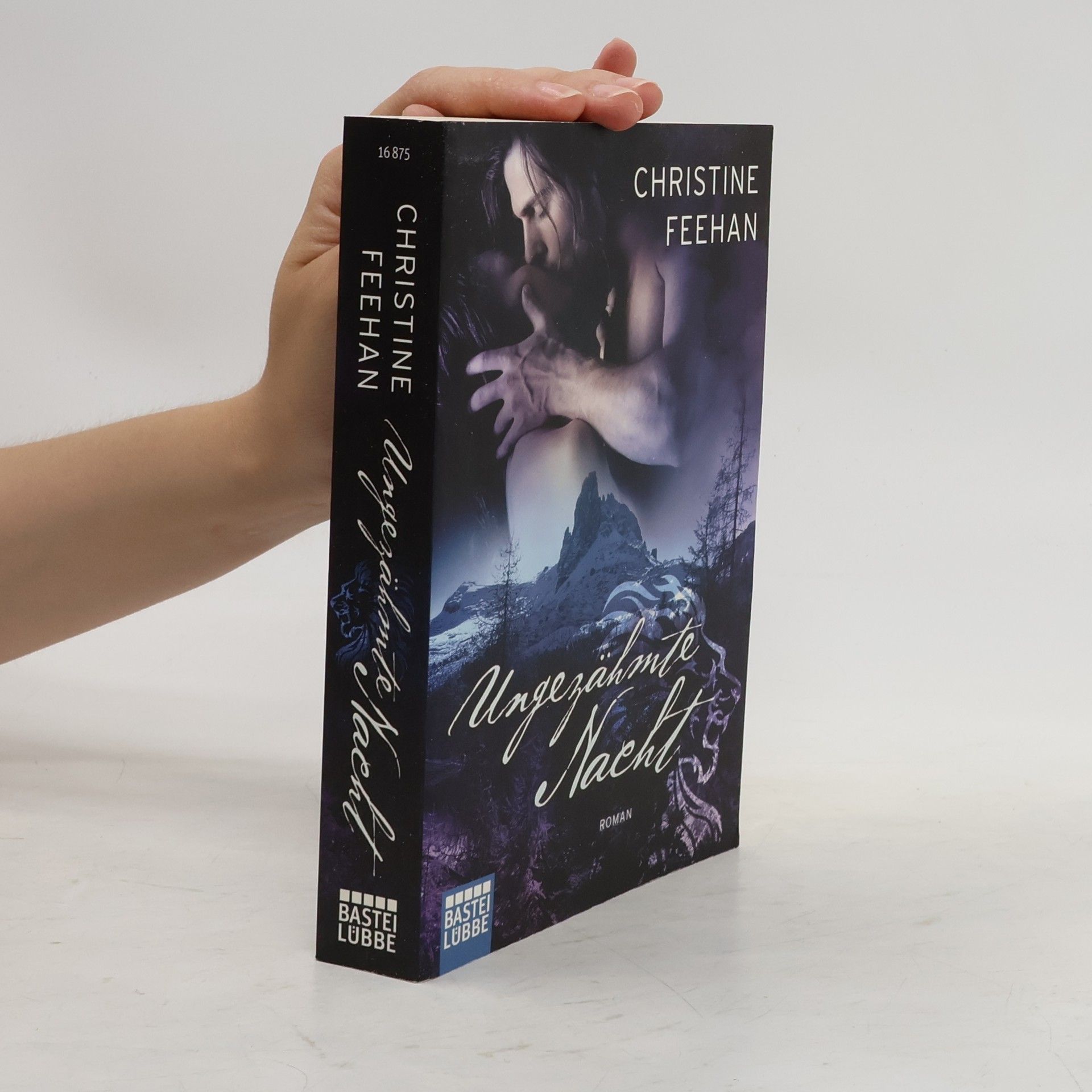 Christine Feehan Ungezähmte Nacht