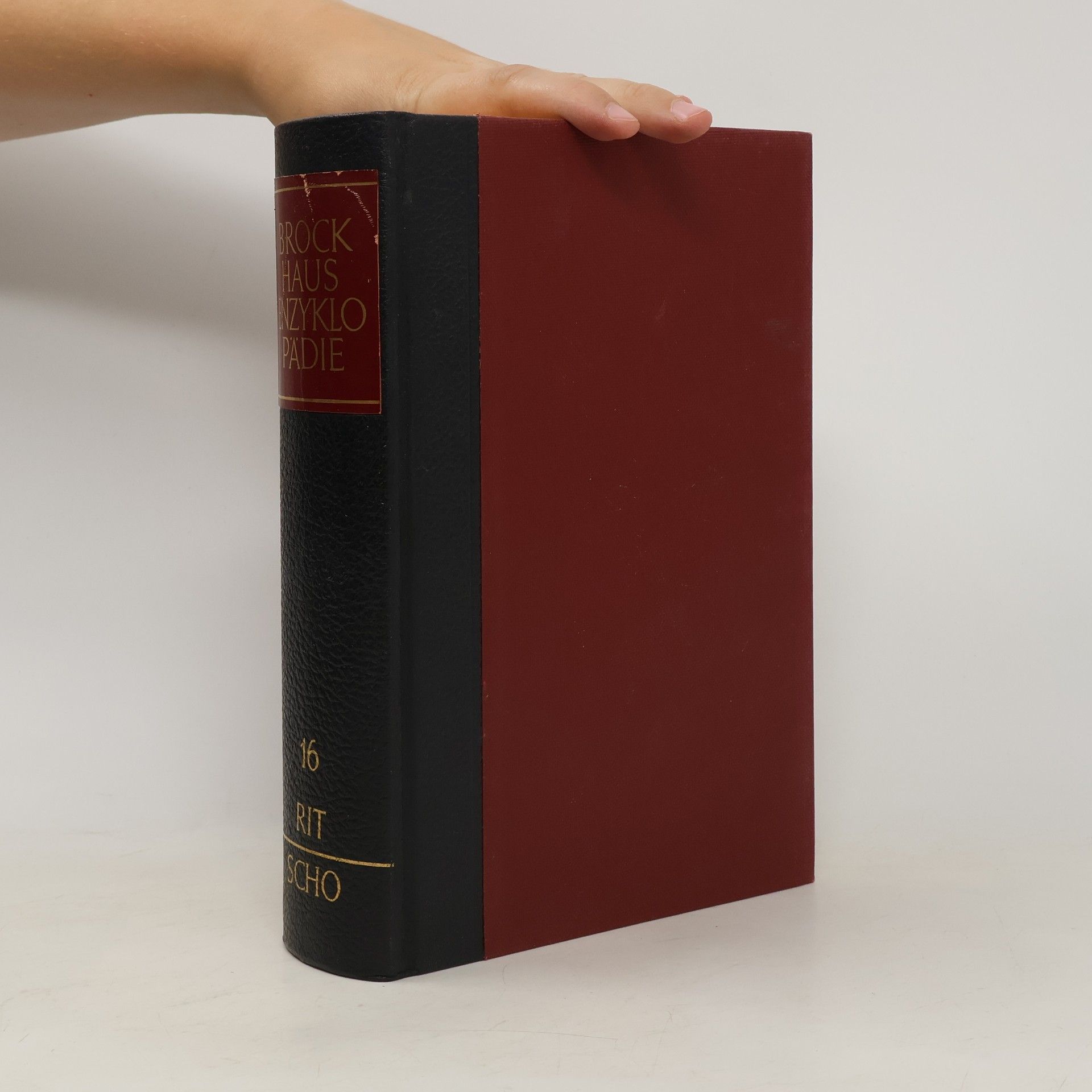 Autorenkollektiv Brockhaus Enzyklopädie 16. RIT-SCHO