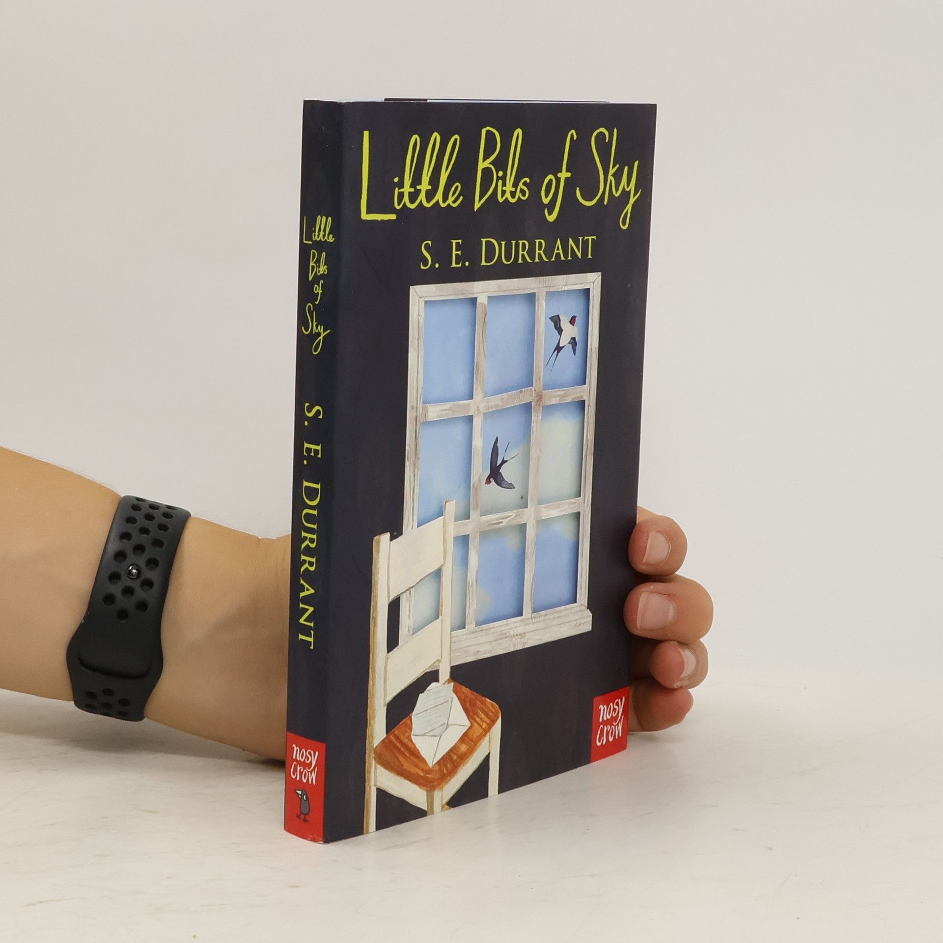 S. E. Durrant Little Bits of Sky