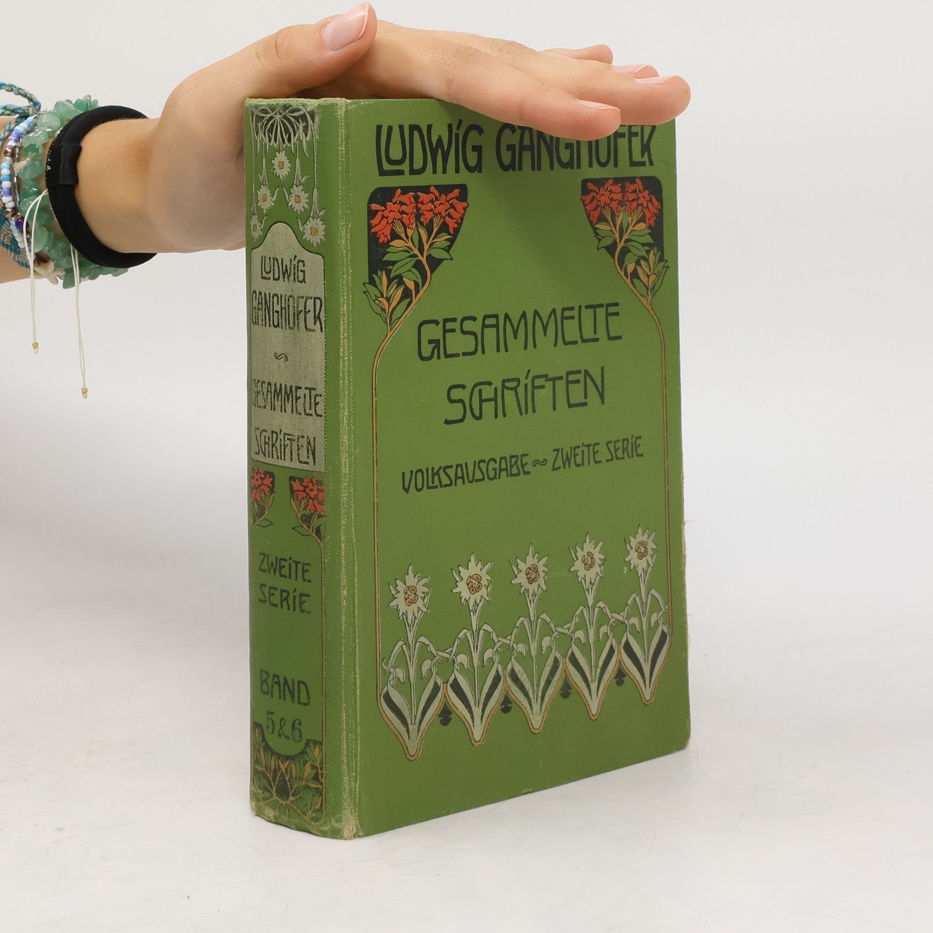 Ludwig Ganghofer Gesammelte Schriften. Zweite Serie. Band 5 & 6