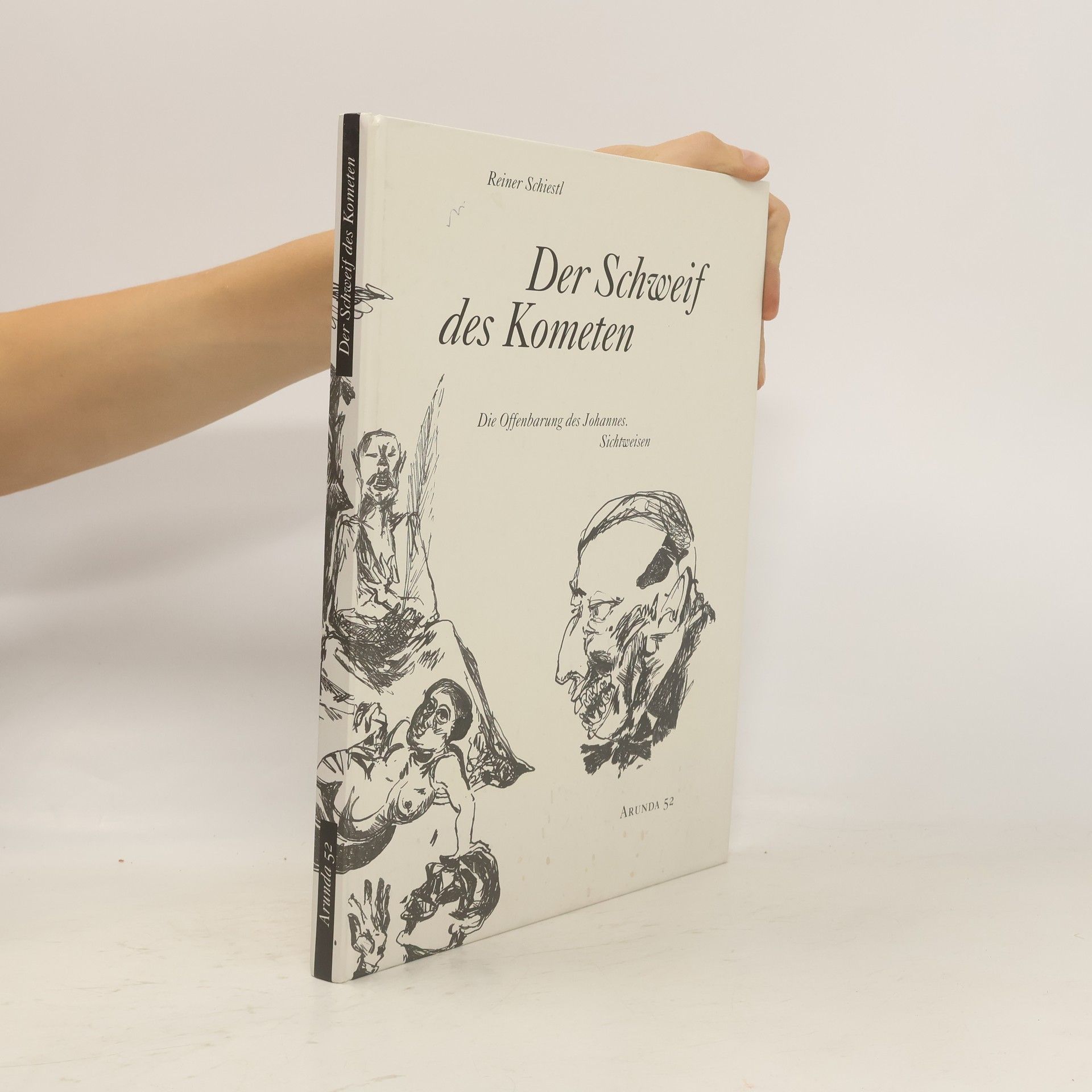 Reiner Schiestl Der Schweif des Kometen