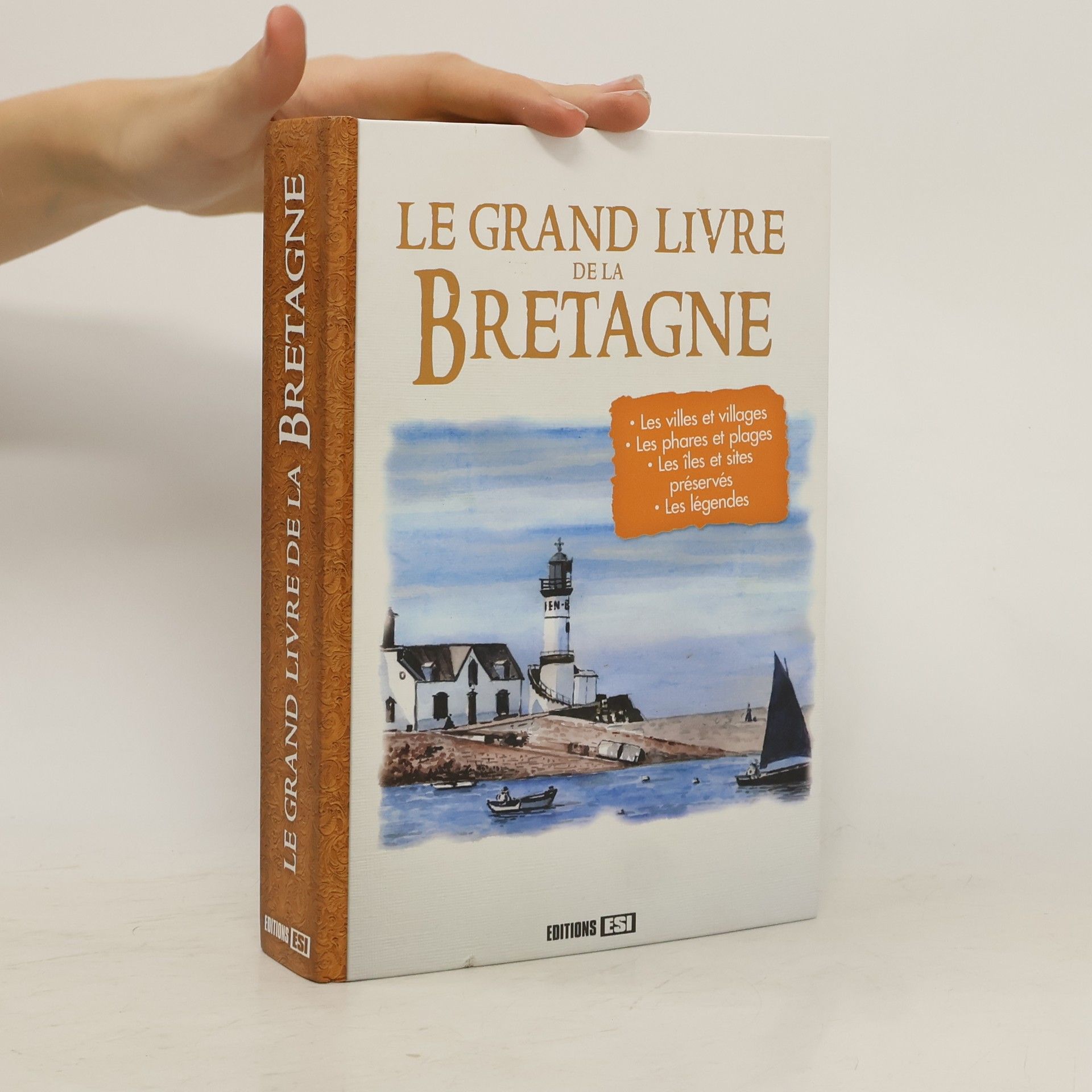 Angèle d' Armor Grand livre de la Bretagne