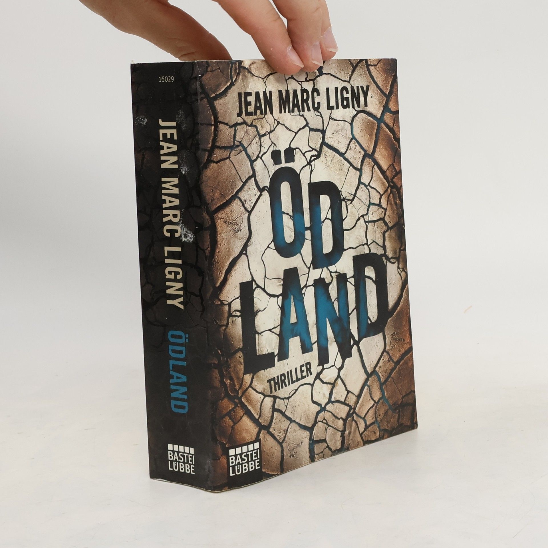 Jean-Marc Ligny Ödland
