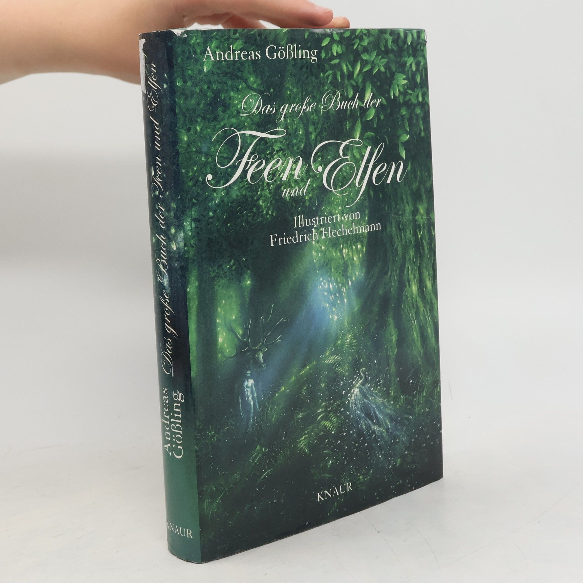 Andreas Gössling Das große Buch der Feen und Elfen