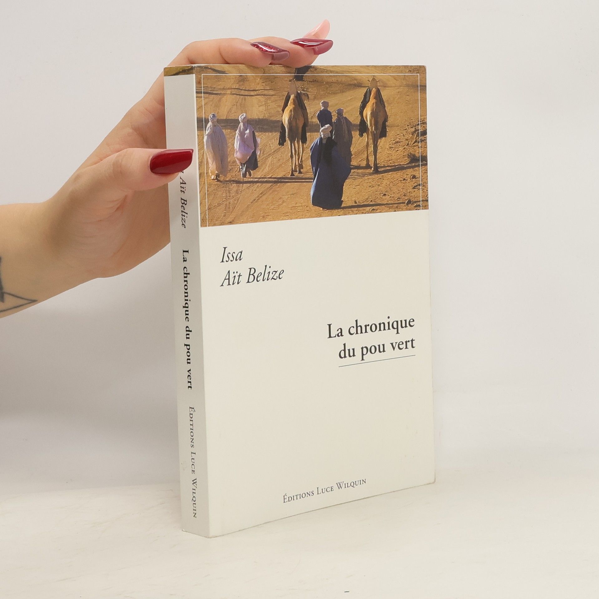 Issa Aït Belize La chronique du pou vert