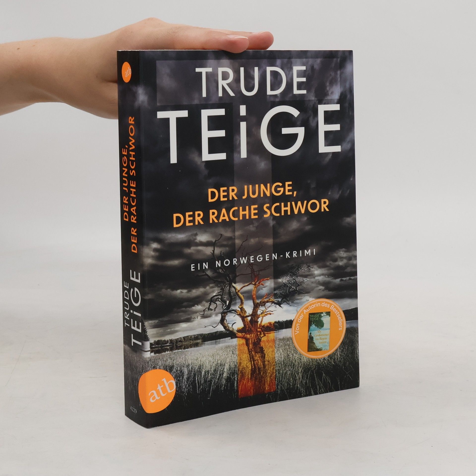 Trude Teige Der Junge, der Rache schwor