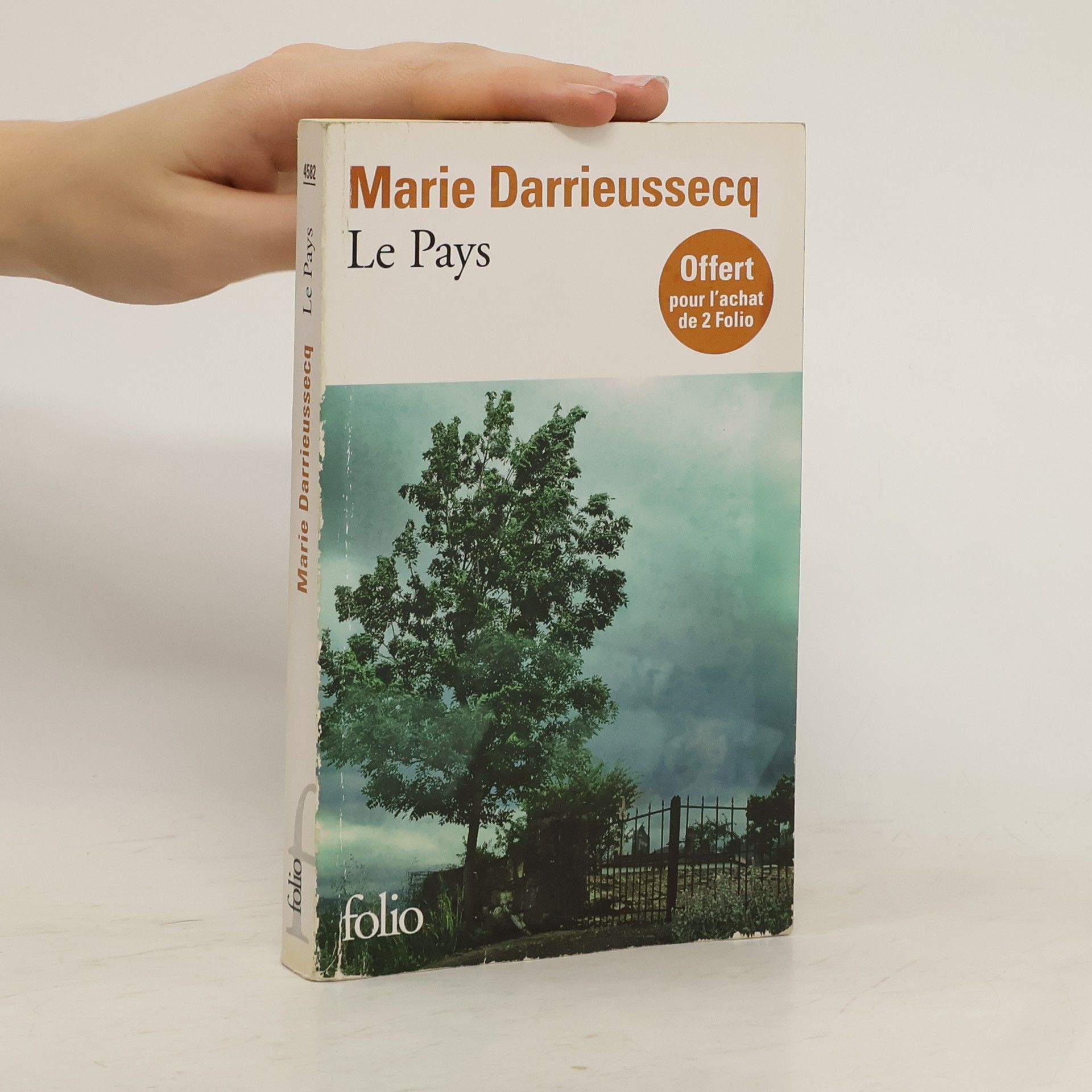 Marie Darrieussecq Le Pays