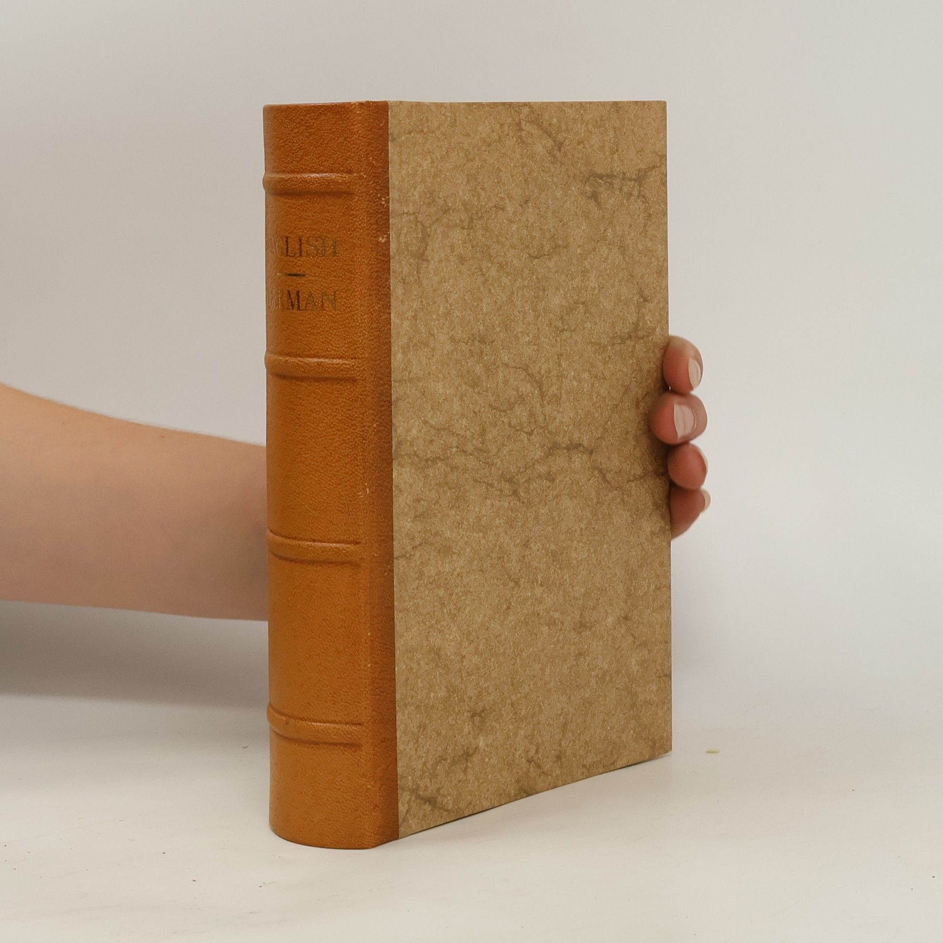 Kolektiv autorů English-German Dictionary