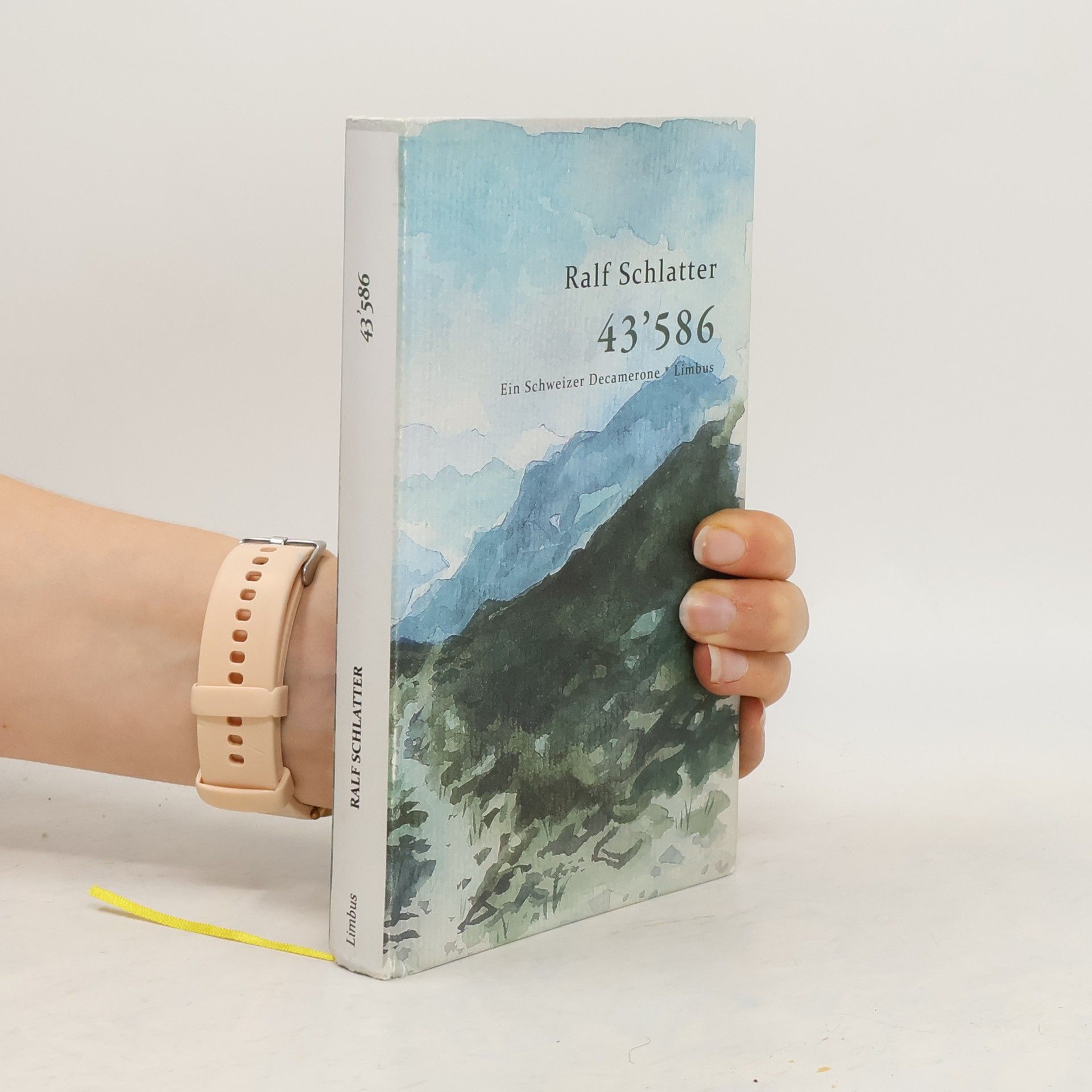 Ralf Schlatter 43'586