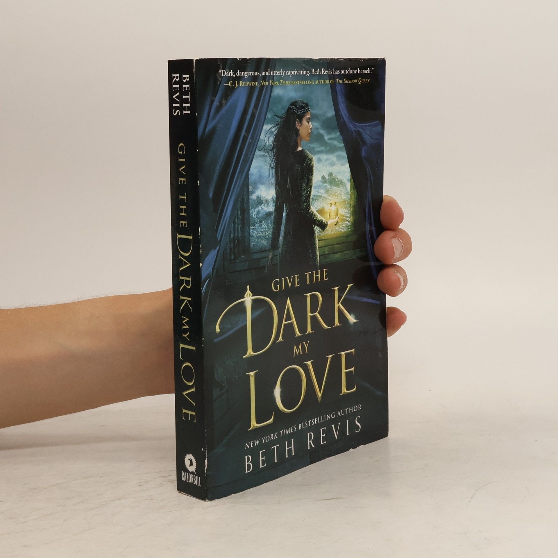 Beth Revis Give the Dark My Love