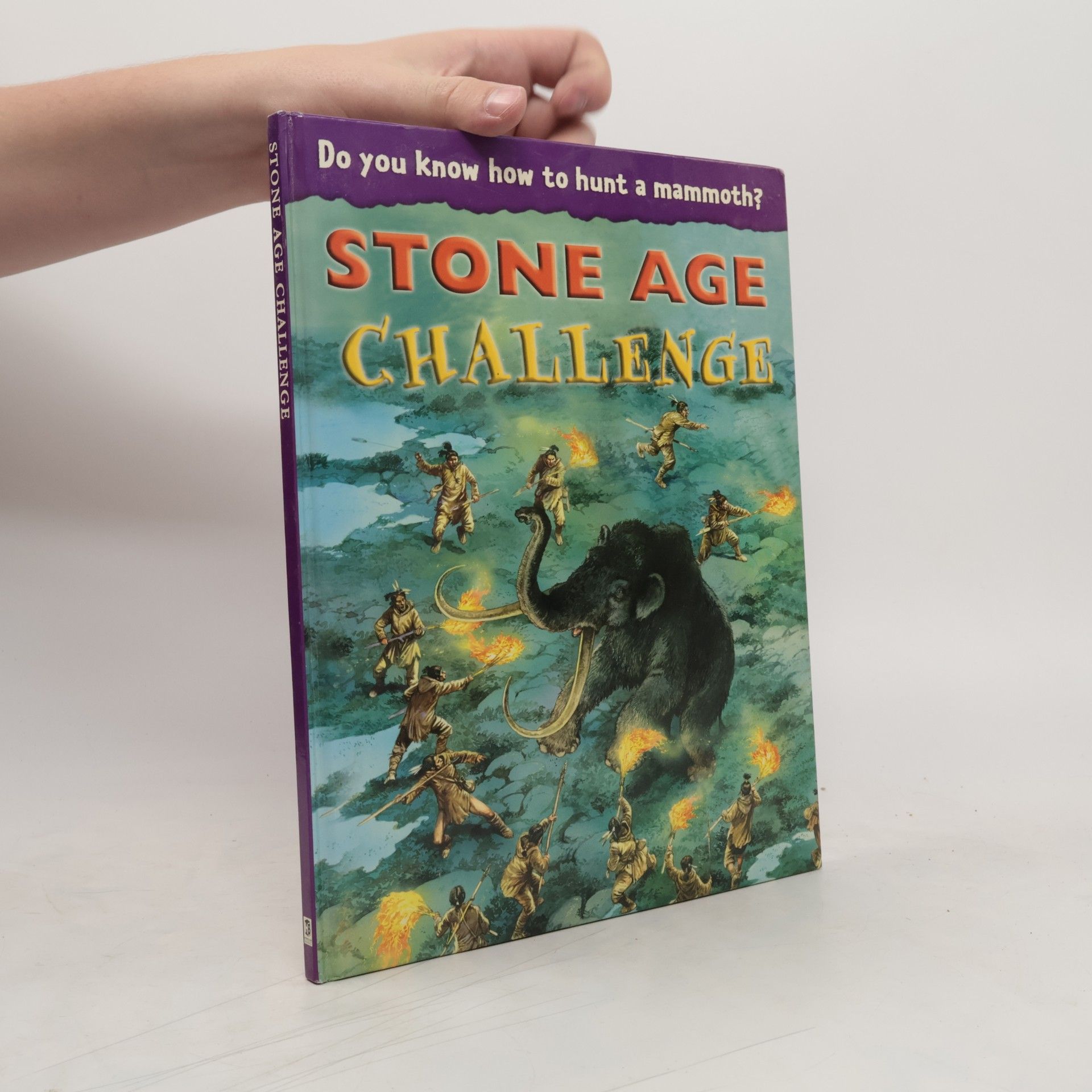 Julia Bruce Stone Age Challenge