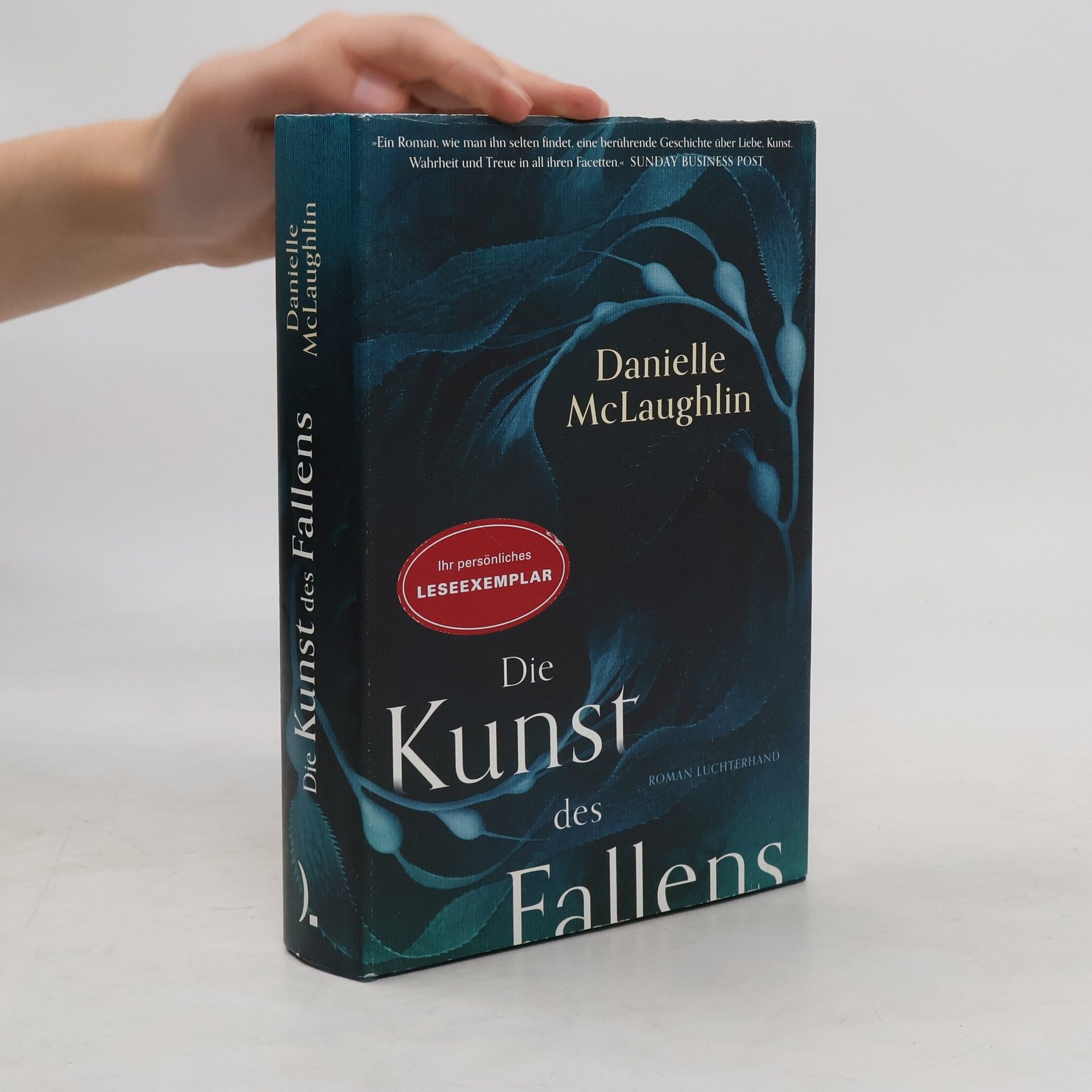 Danielle McLaughlin Die Kunst des Fallens