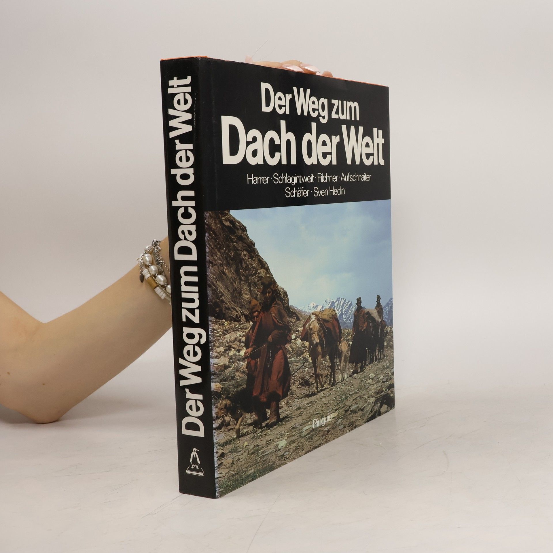 Claudius Müller Der Weg zum Dach der Welt