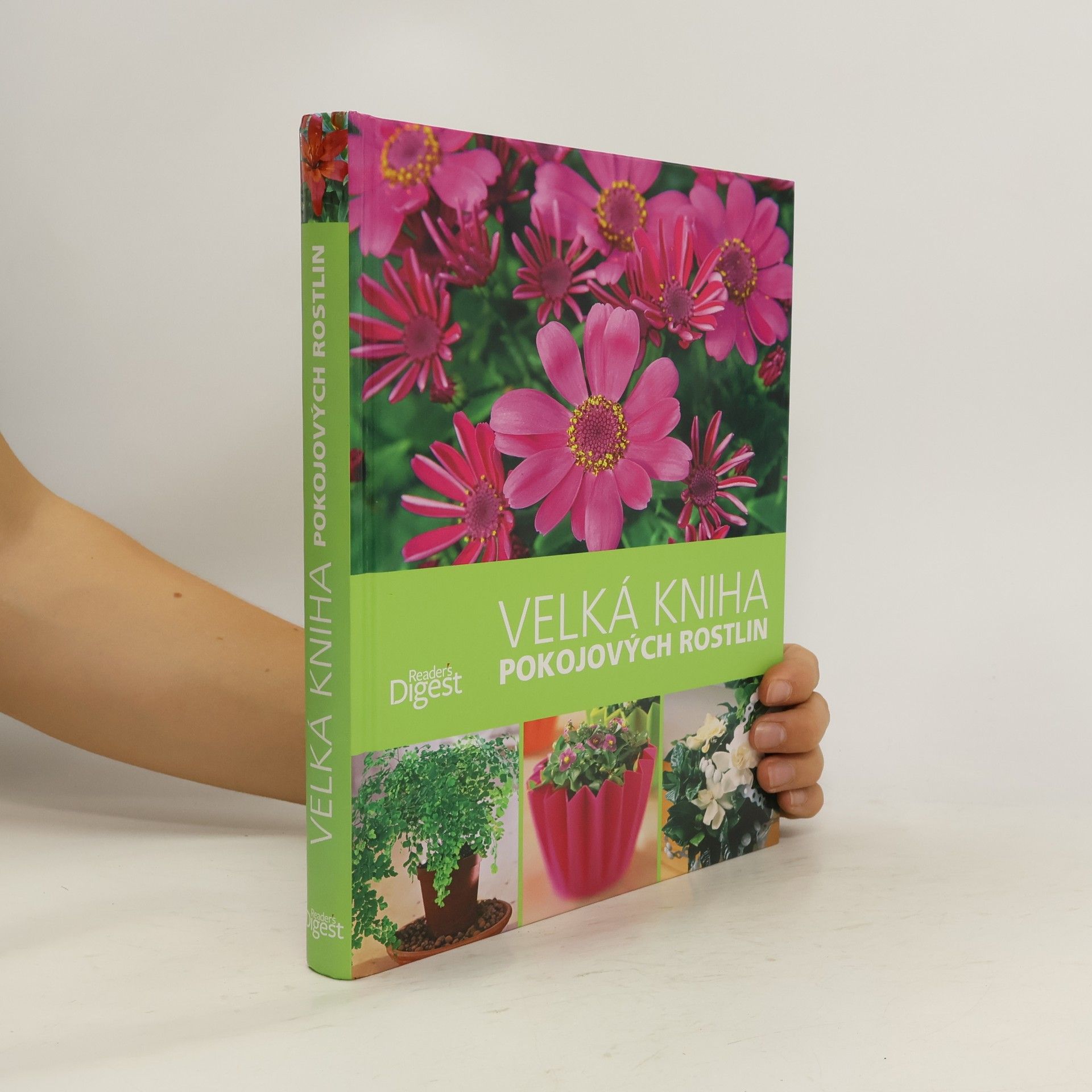Folko Kullmann Velká kniha pokojových rostlin