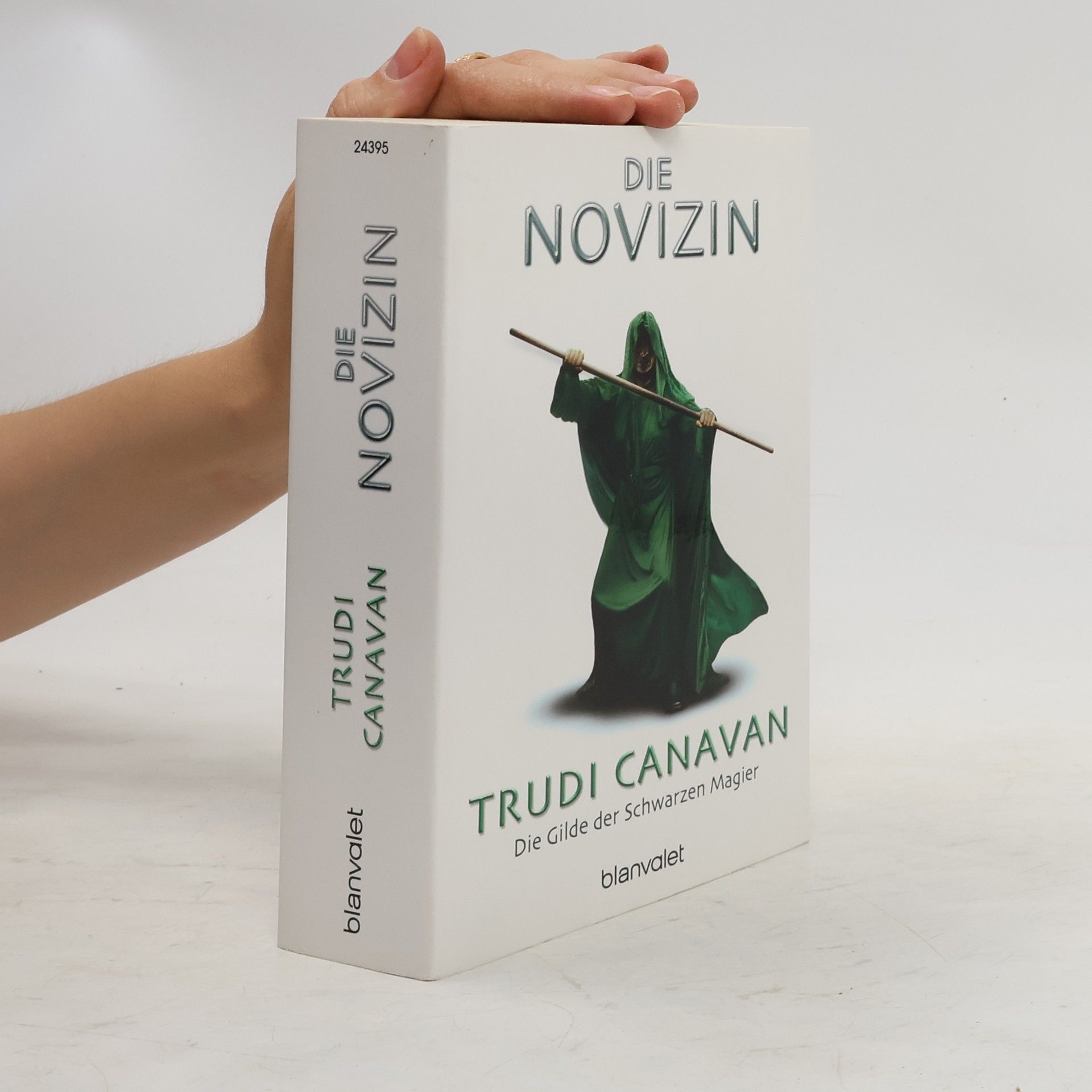 Trudi Canavan Die Novizin