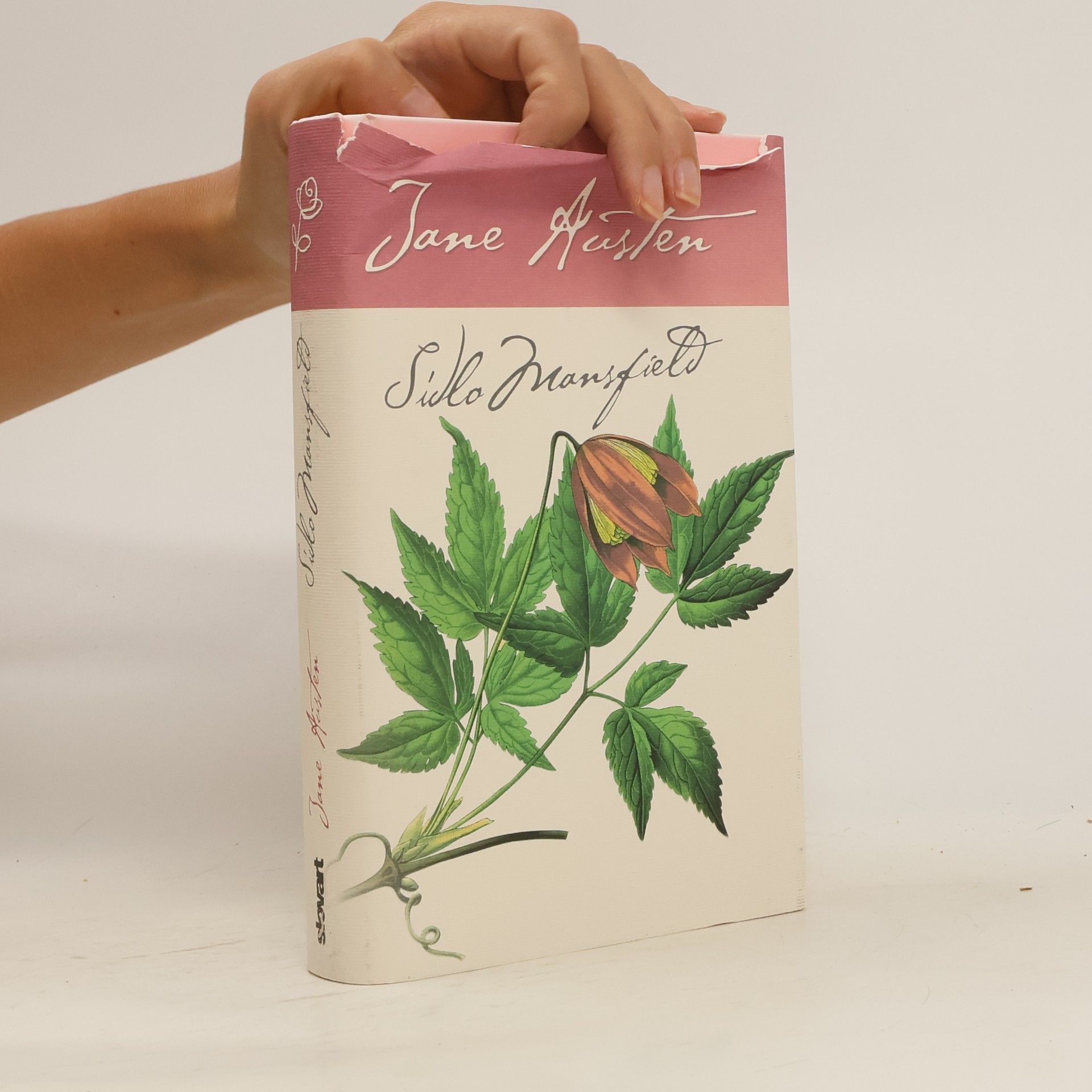 Jane Austen Sídlo Mansfield