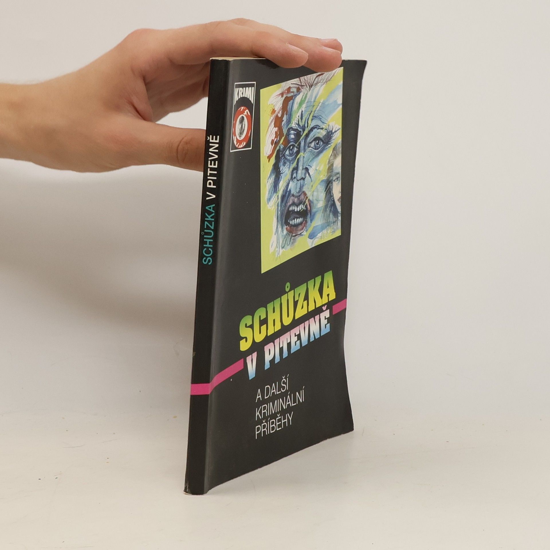 Autorenkollektiv Schůzka v pitevně