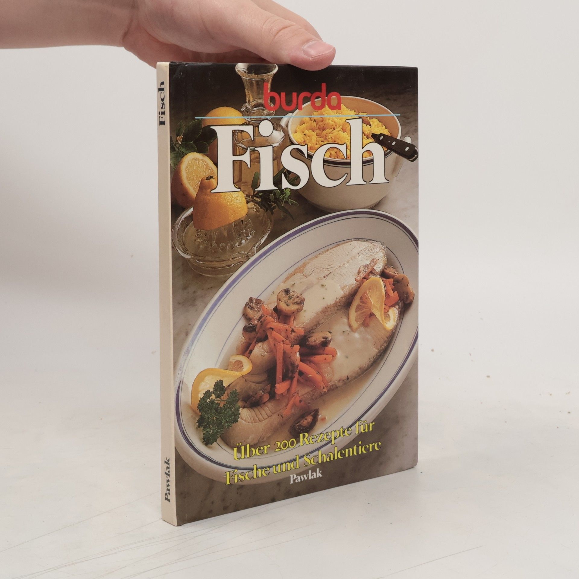 Edith Hundhausen Fisch