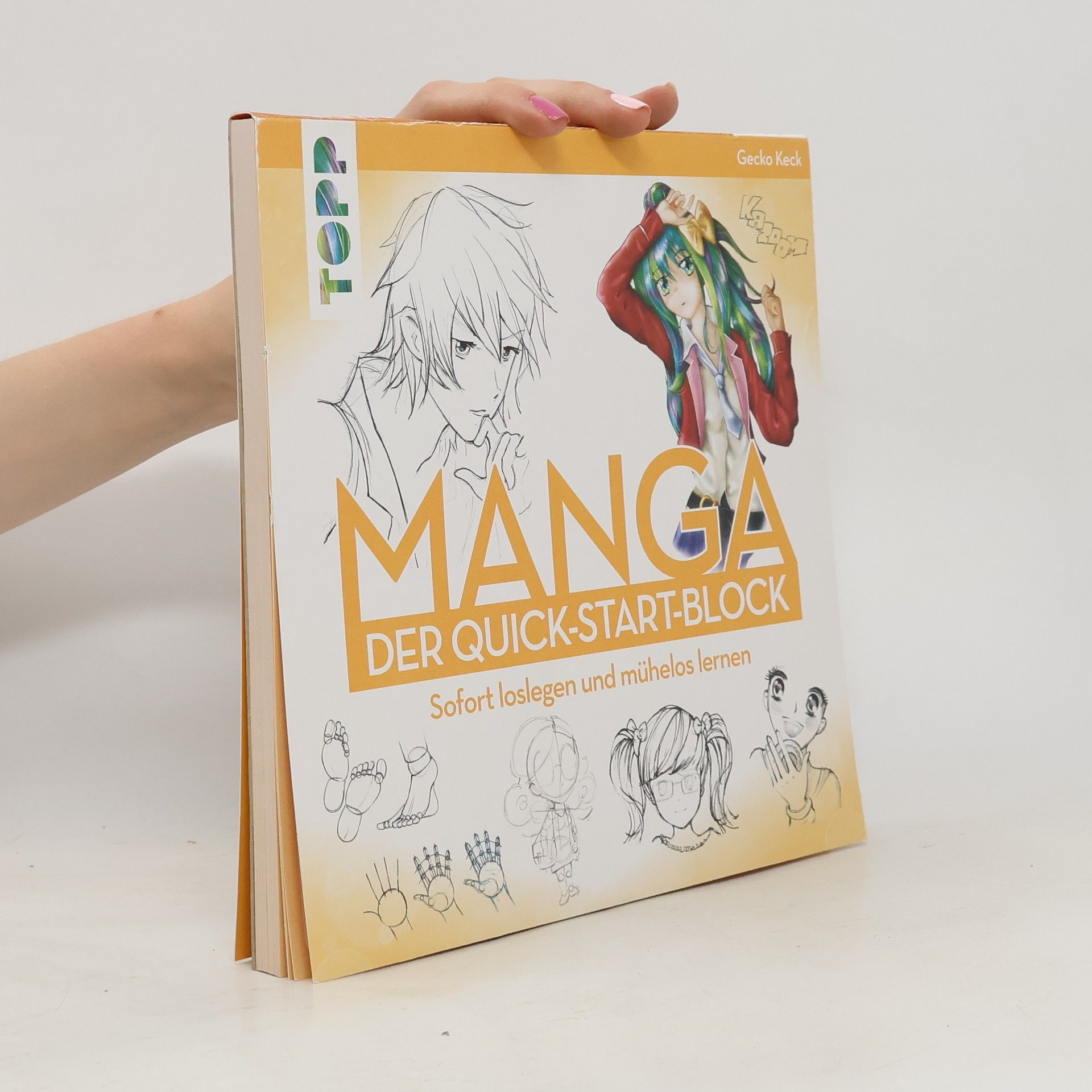 Gecko Keck Manga. Der Quick-Start-Block